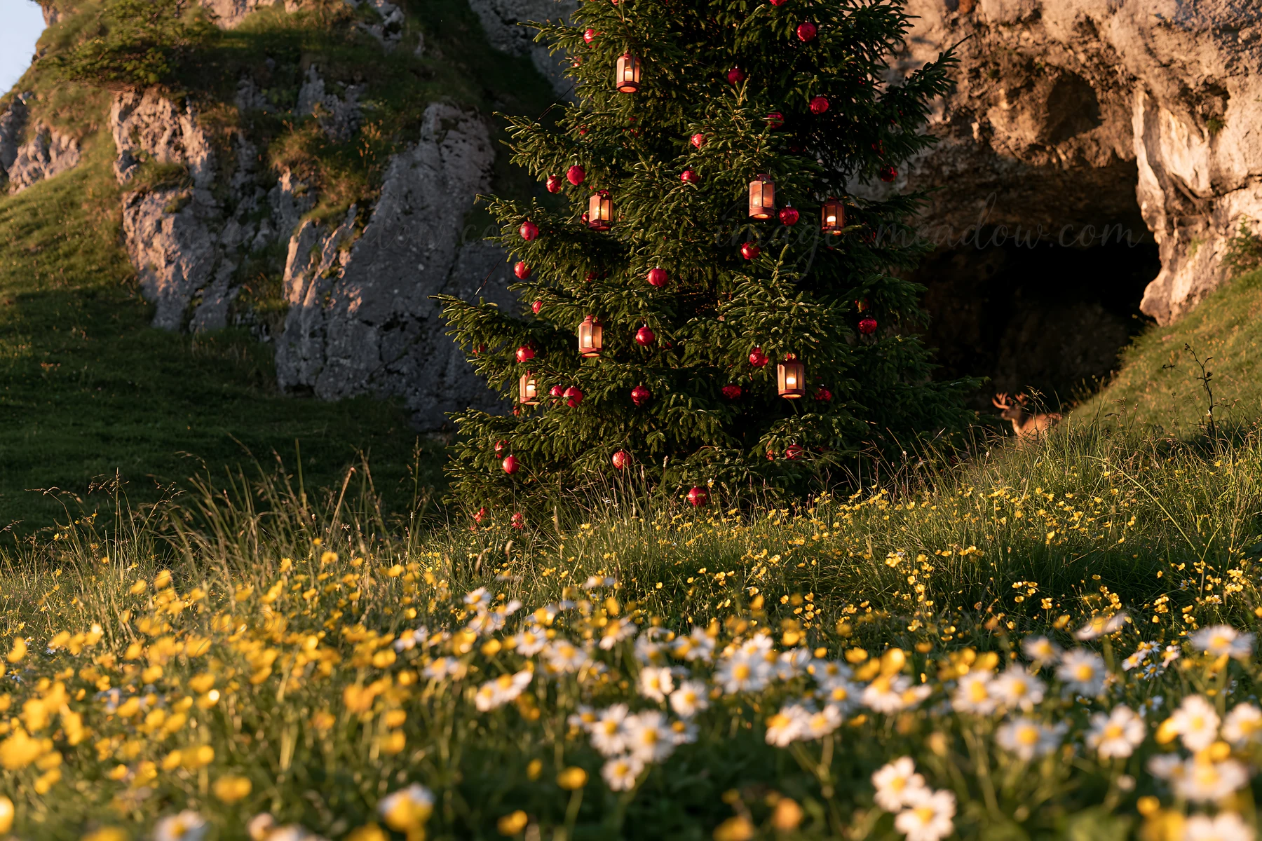 A Christmas tree stands in a meadow adorned with lanterns and red ornaments. Flowers bloom around the base as a cave is visible in the background. The scene cap