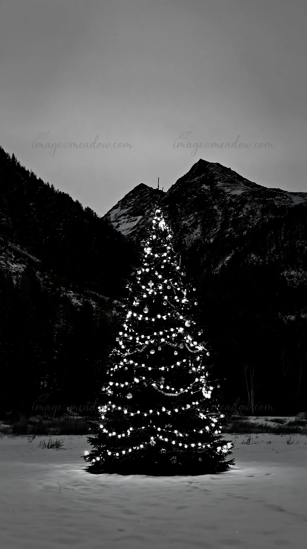 A decorated Christmas tree stands in a snowy meadow surrounded by mountains. The tree is illuminated with lights, contrasting against the evening sky and the da