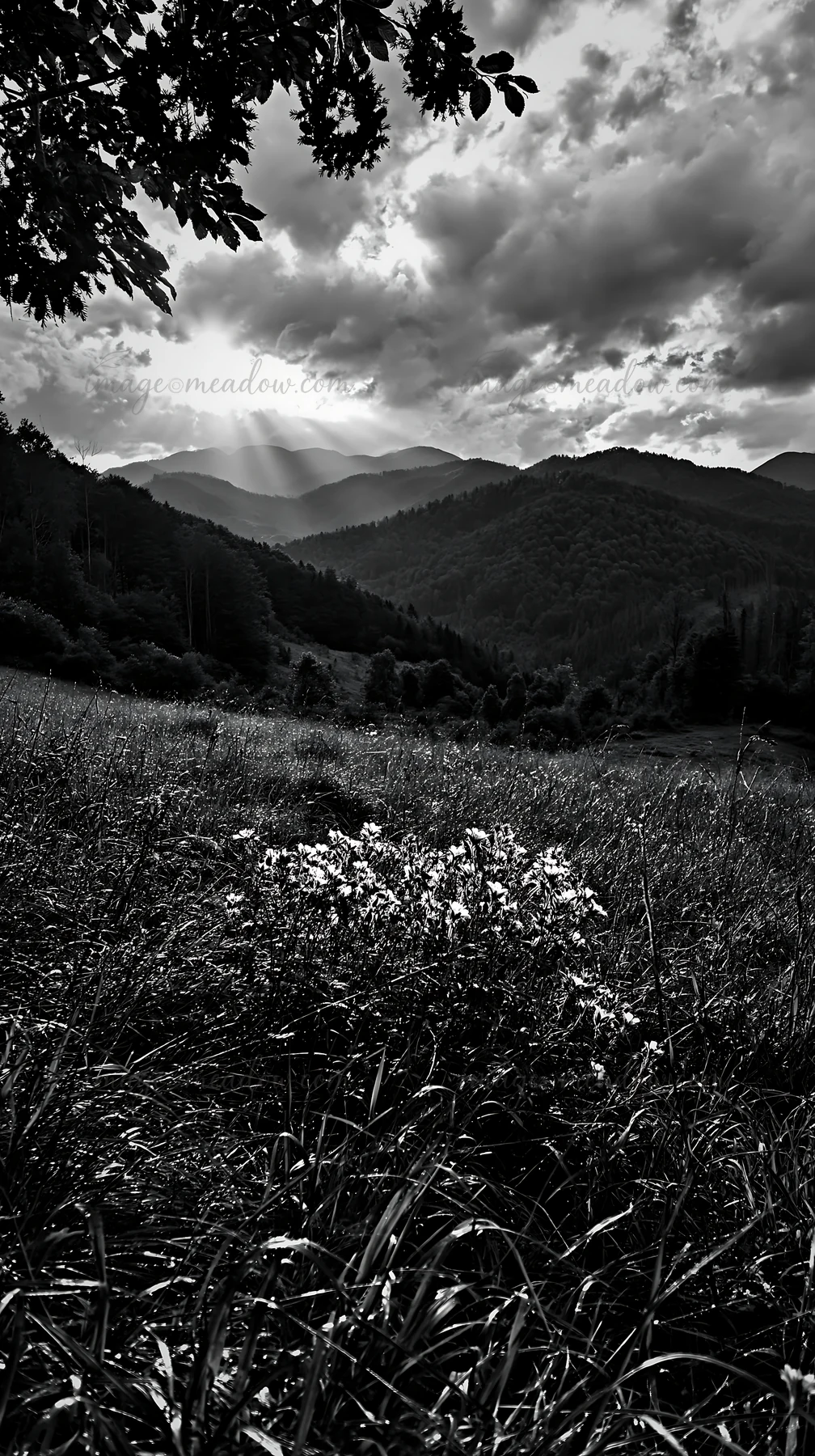 A meadow features Christmas wreaths surrounded by grass and flowers with mountains in the background. Dramatic clouds fill the sky as rays of sunlight shine thr