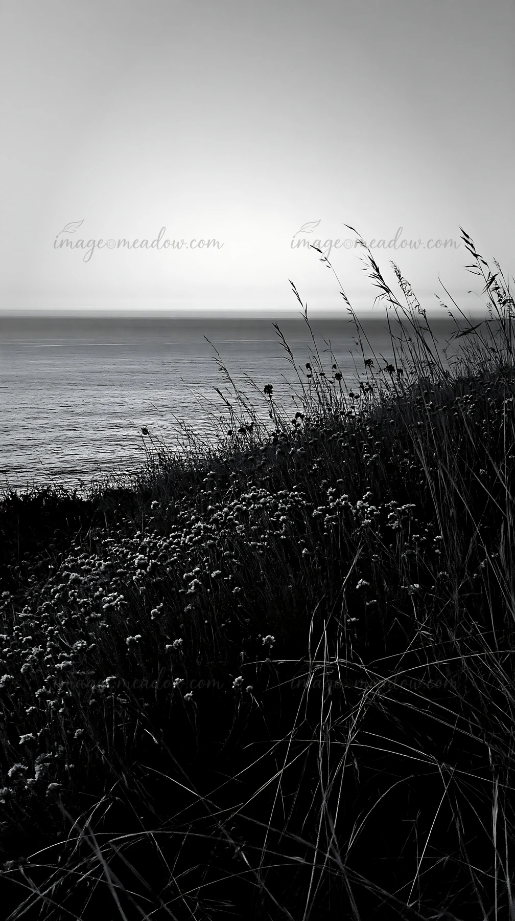 A clifftop meadow features wildflowers and tall grass overlooking the ocean at sunset. The sun sets behind the horizon, casting a soft light over the landscape.
