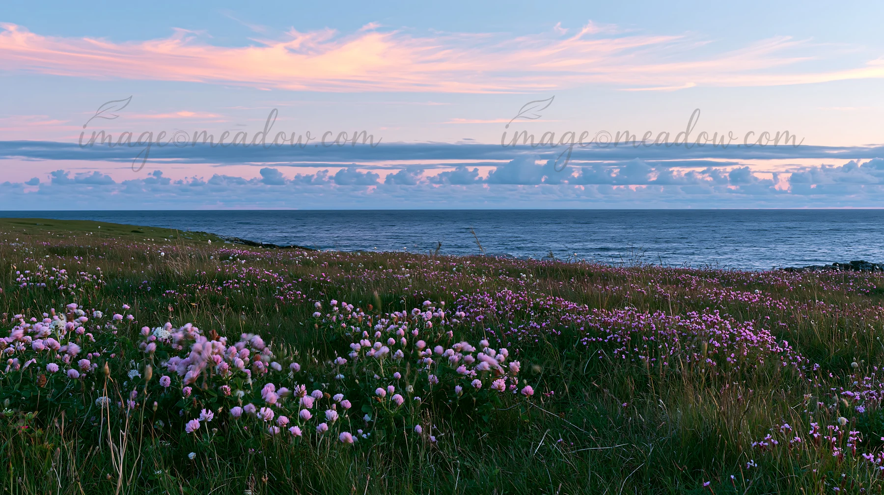 A clifftop meadow features blooming flowers and an expansive ocean view under a colorful sunset sky. The landscape showcases lush greenery and soft pastel cloud