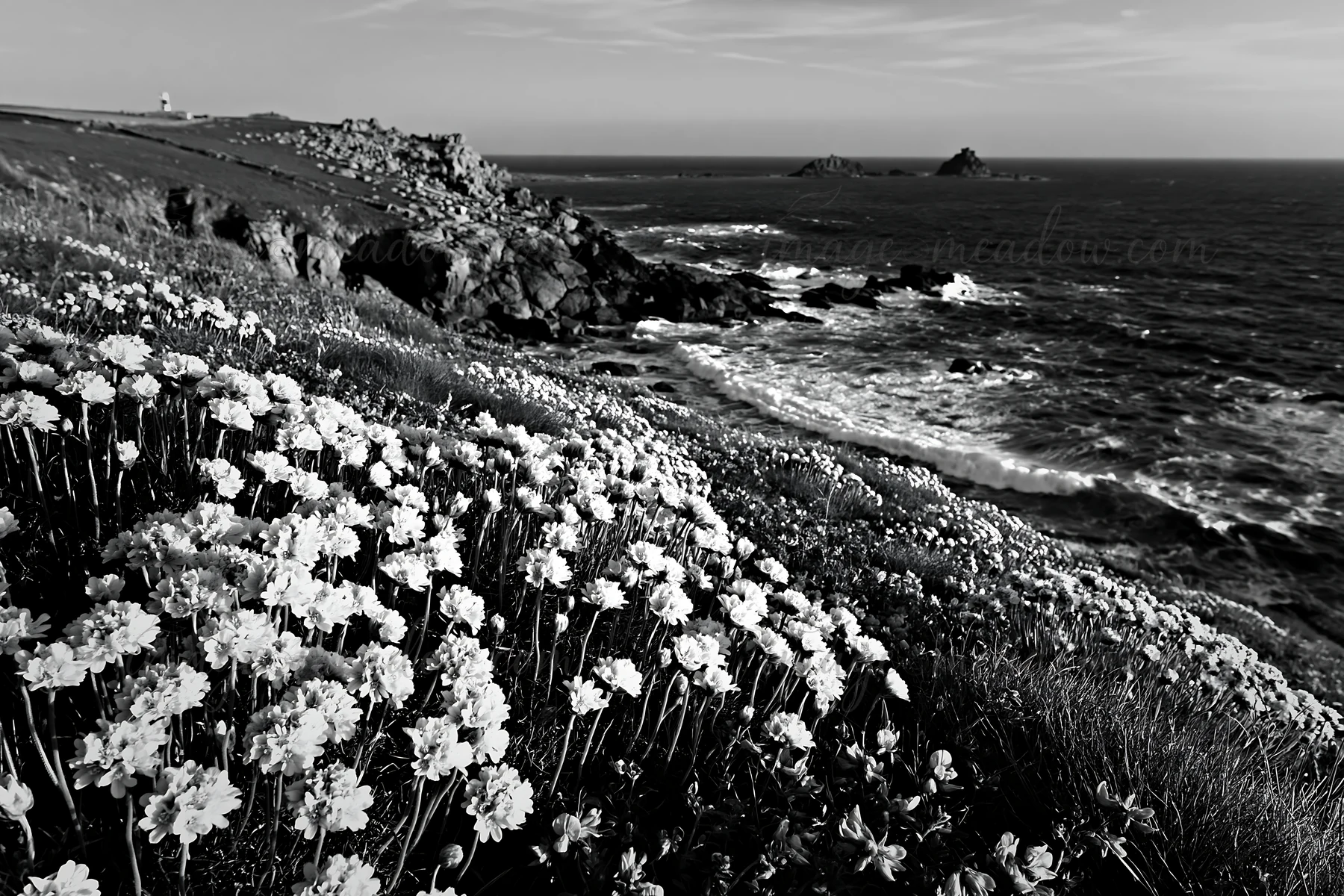 A meadow filled with flowers sits atop a cliff, providing a view of the rocky coastline and crashing waves below. This scene captures the natural beauty of the