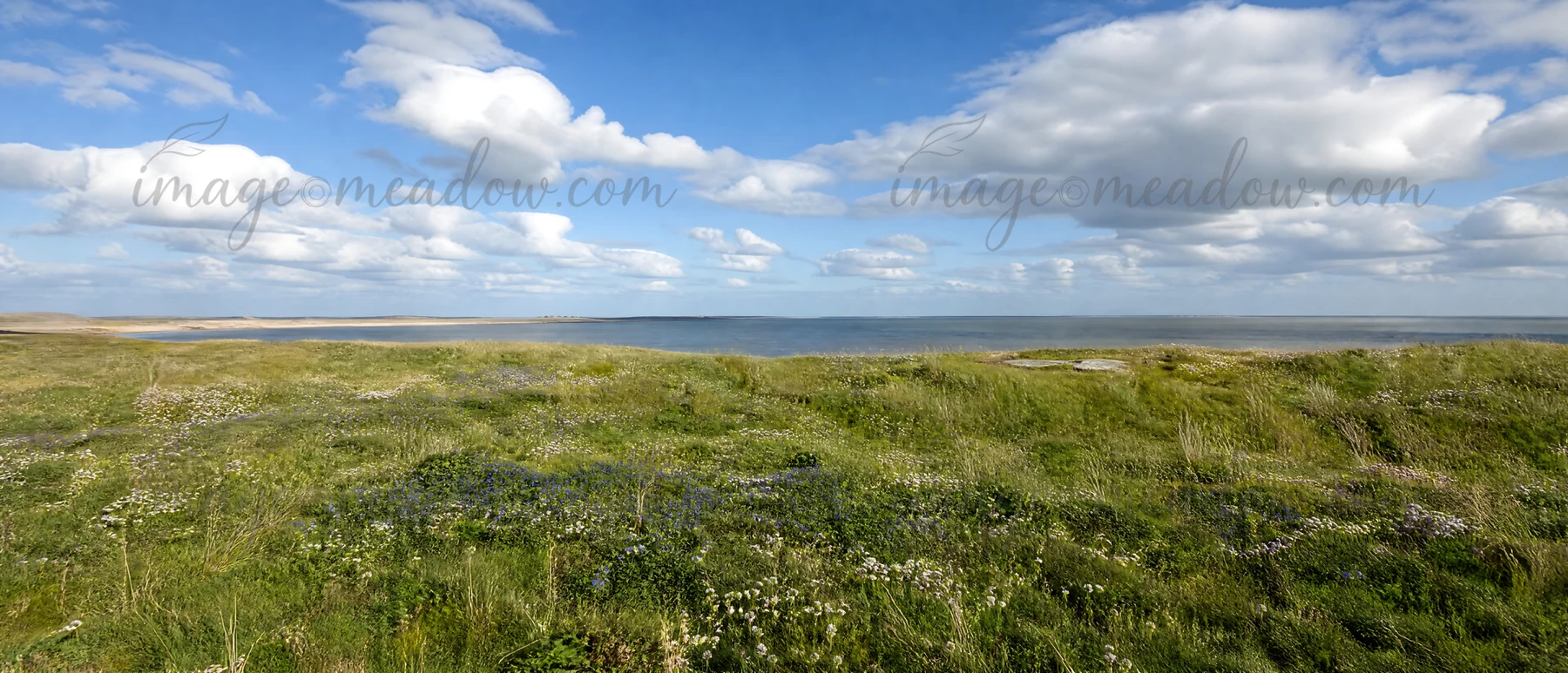 A meadow filled with clover speedwell shows a grassy space along the water. The scene features a blue sky with clouds in the background.