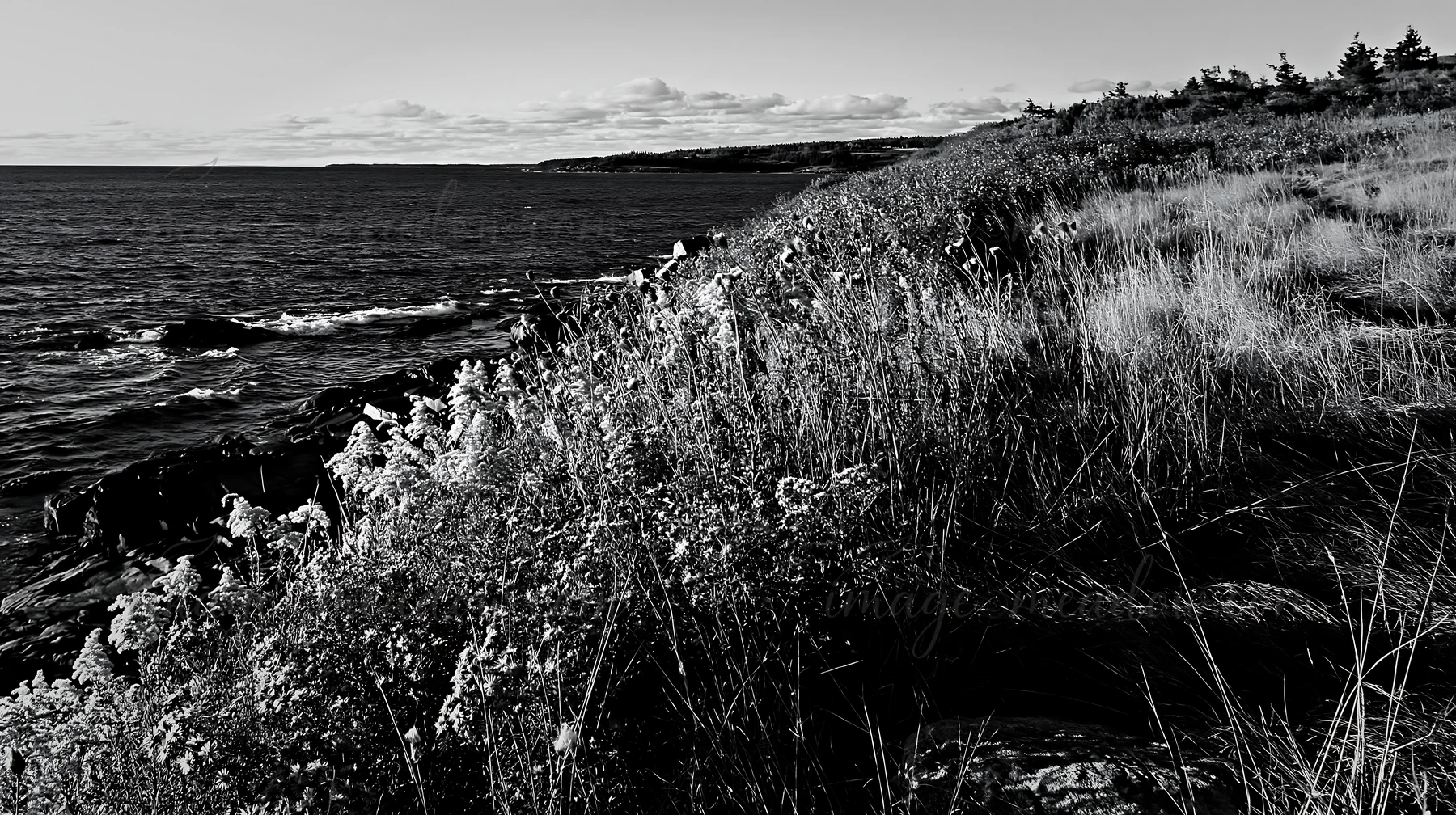 Colorful flowers edge the rocky coastal meadow cliffs as the sun sets over the ocean, creating a warm glow. The scenery includes grass and distant shoreline und