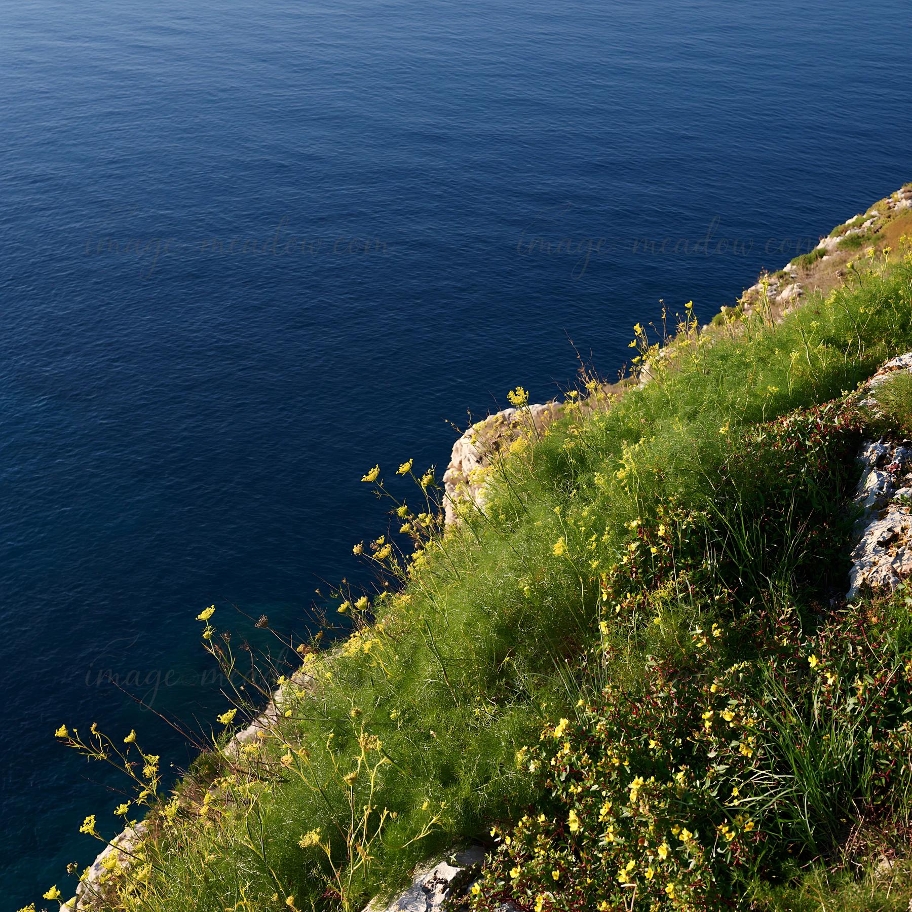 Cliffs rise above blue water with green grass and yellow flowers. The scene captures the coastal landscape on a clear day, highlighting the natural beauty of th