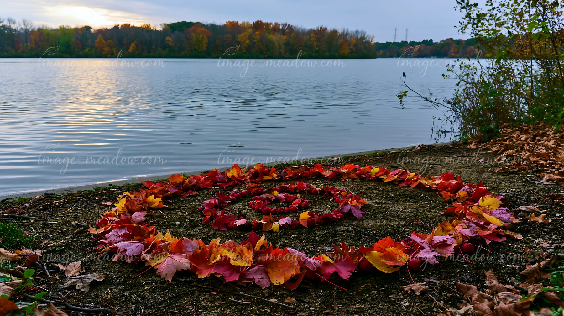 Colorful autumn leaves arranged in spiral on the ground by a riverbank reflect the hues of fall.