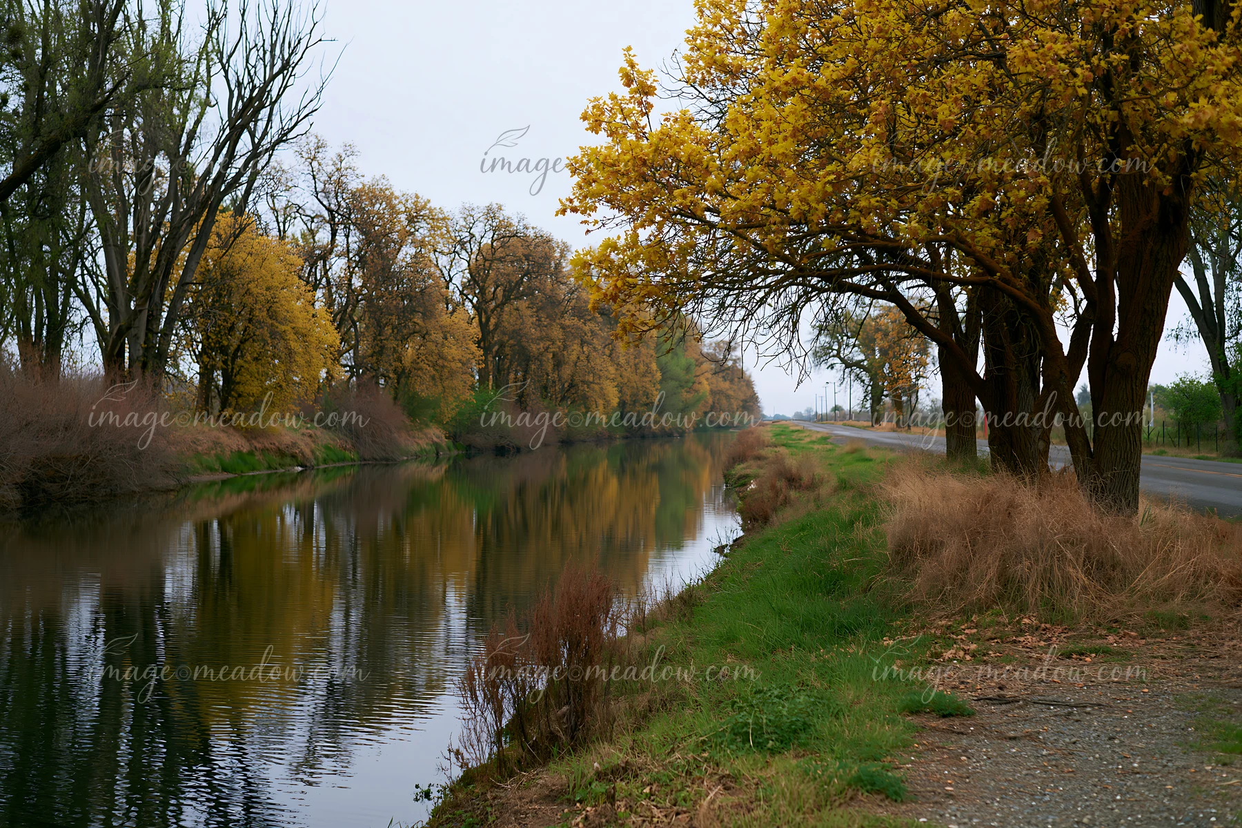 Colorful spring trees along a country road create a scenic view.