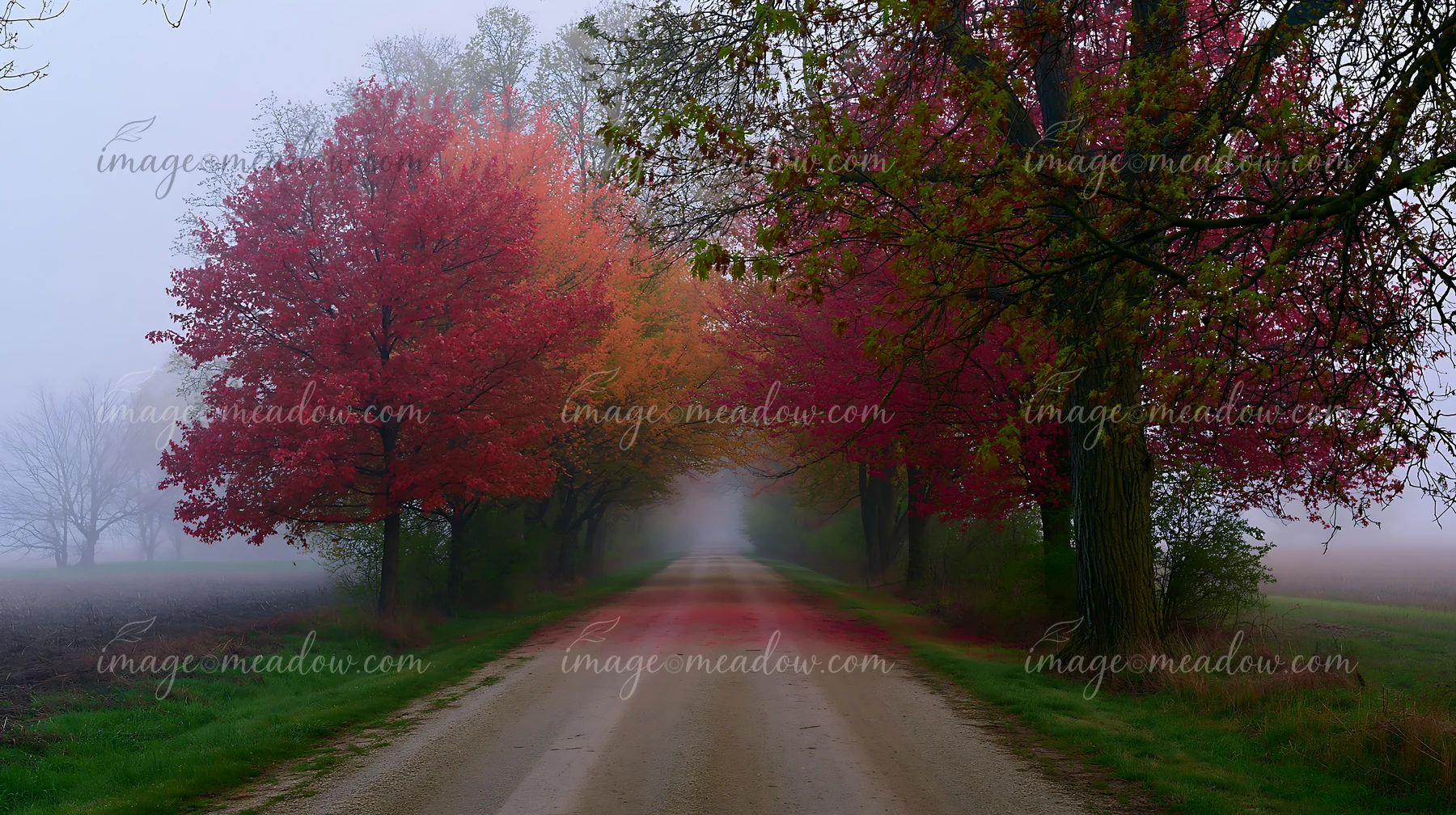 Colorful spring trees line a dirt road, creating a vibrant scene.