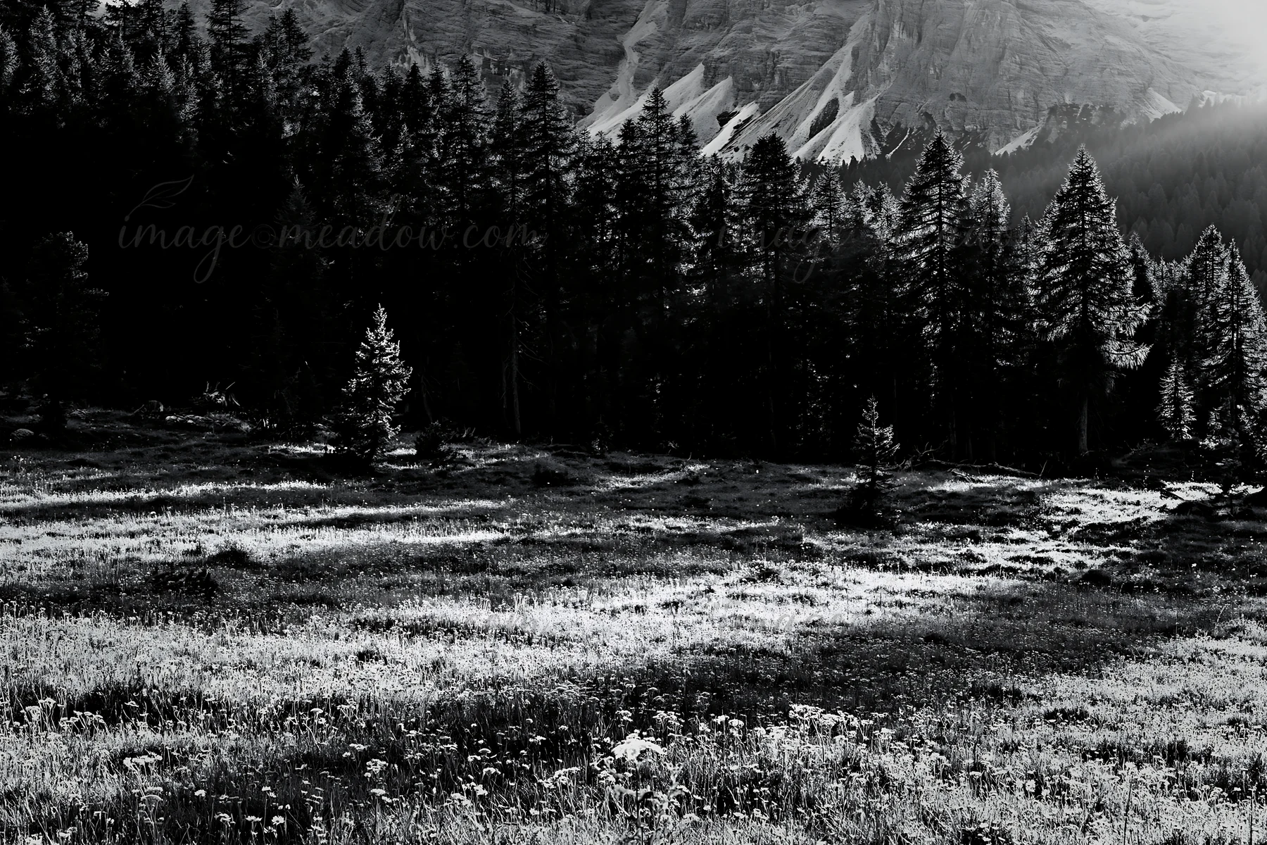 A meadow features patches of wildflowers and tall grass under crepuscular rays. Sunlight filters through trees as the mountains rise in the distance. Presented