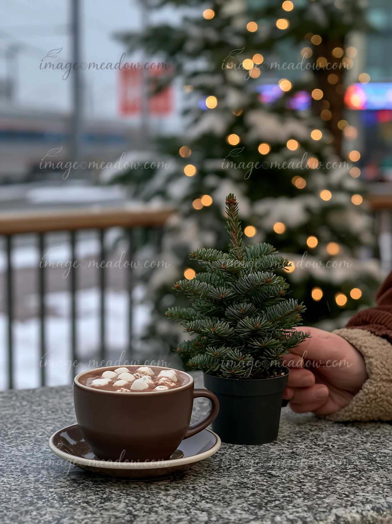 Cup of cocoa topped with marshmallows beside a small evergreen tree and glowing lights in a snowy setting.