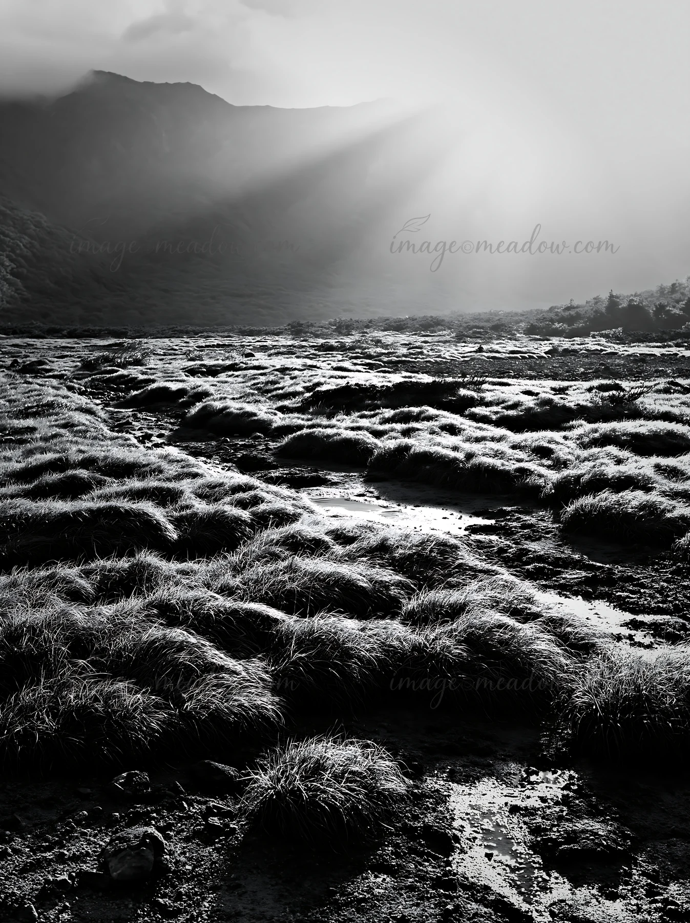 Light rays break through clouds over the Daisetsuzan alpine meadow. The landscape features wet grass and rocky terrain, with mountain silhouettes in the backgro