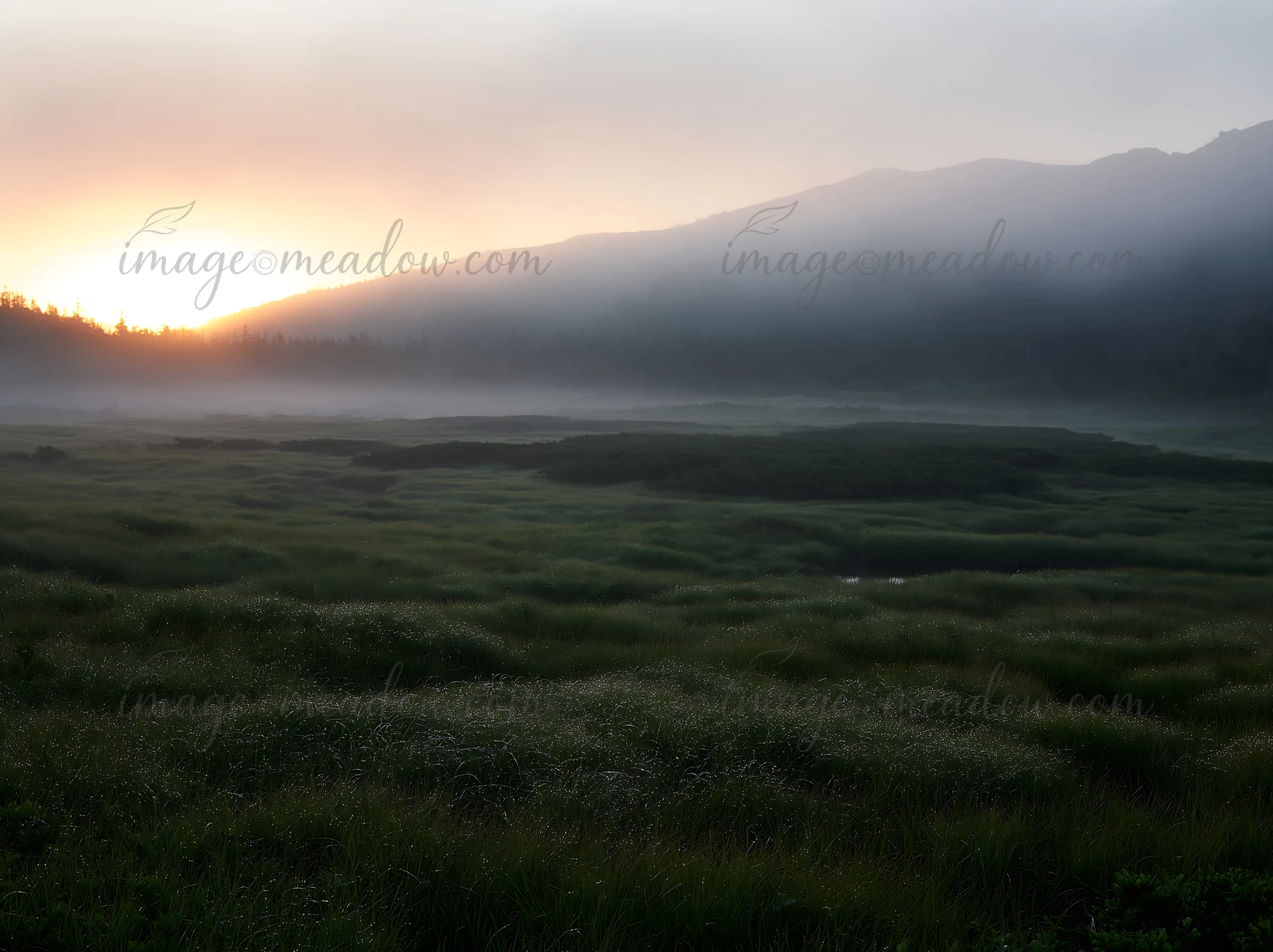 Morning light filters through mist over the Daisetsuzan alpine meadow. The grass is illuminated as the sun rises behind the mountains, creating a natural scene