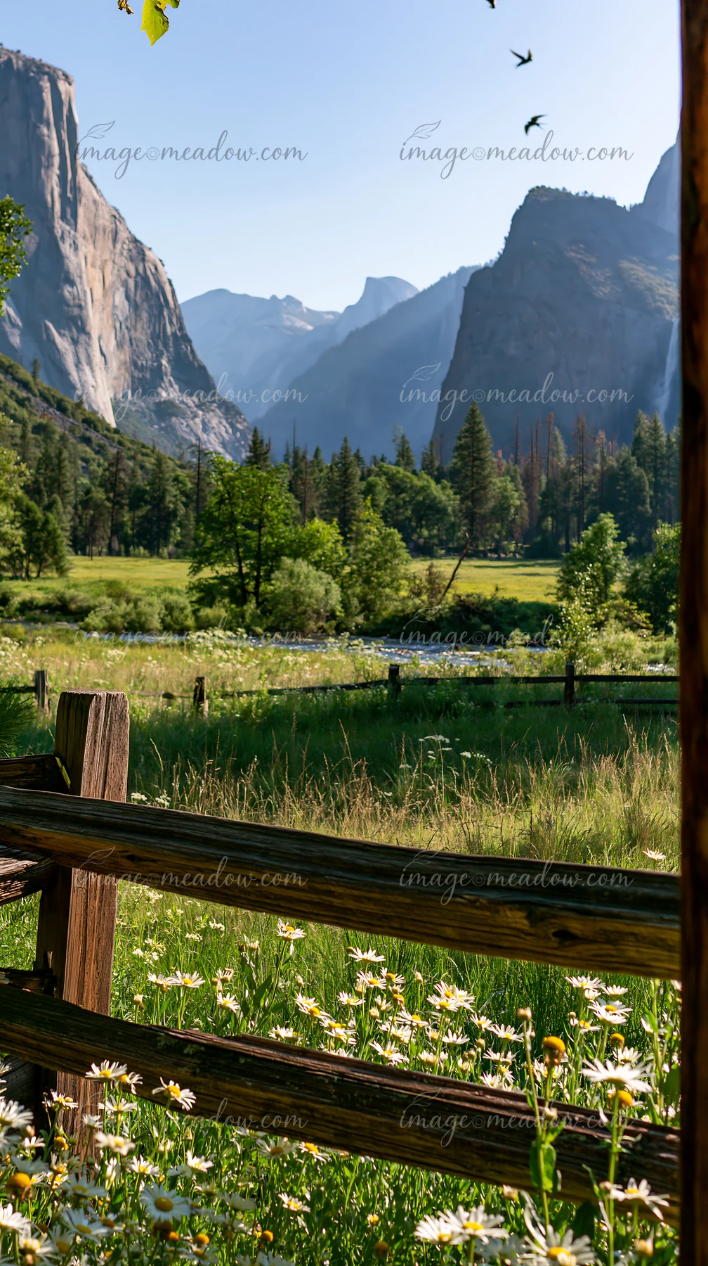 Daisy-filled meadow and rustic wooden railing frame a stream, forest, and towering mountain cliffs beneath blue sky.