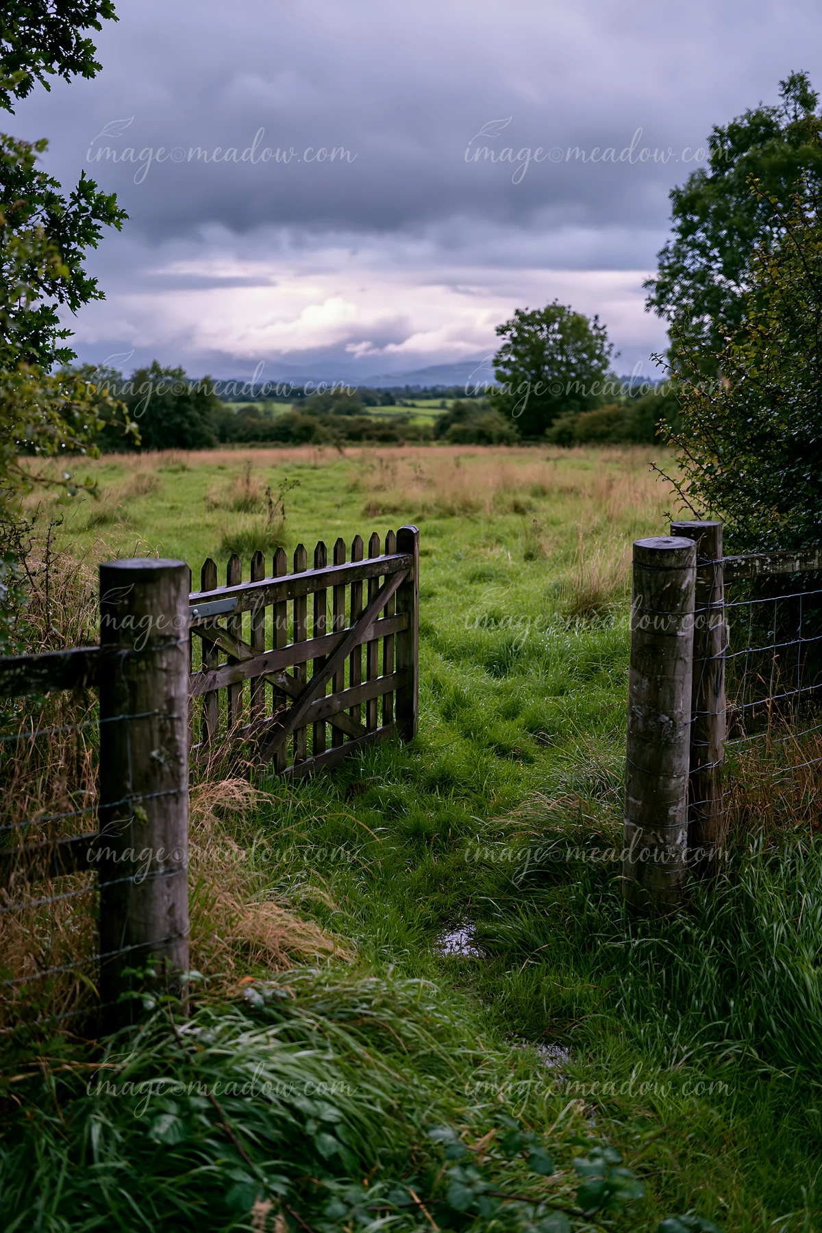 Dark storm clouds loom over a wide meadow, where tall grass sways gently.