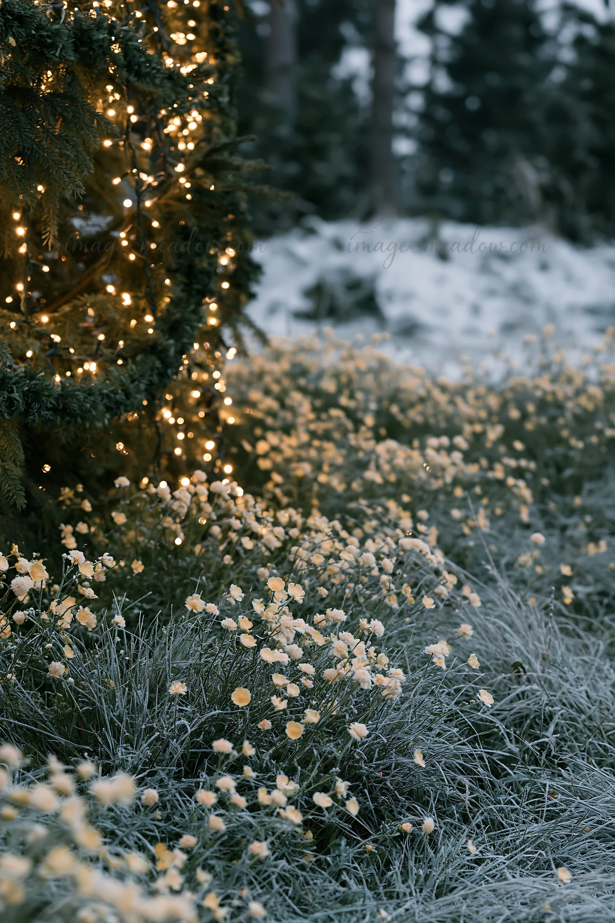 A Christmas tree is set up in a snowy meadow surrounded by lights. The ground is covered with snow and dotted with small flowers. Soft light adds a warm glow to