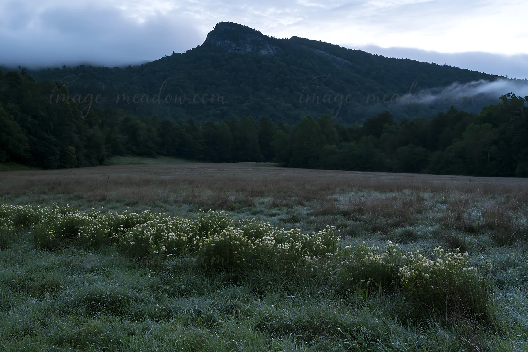 A meadow covered in dew stretches across the landscape under cloudy skies. A mountain looms in the background, with mist rising above the trees, indicating earl