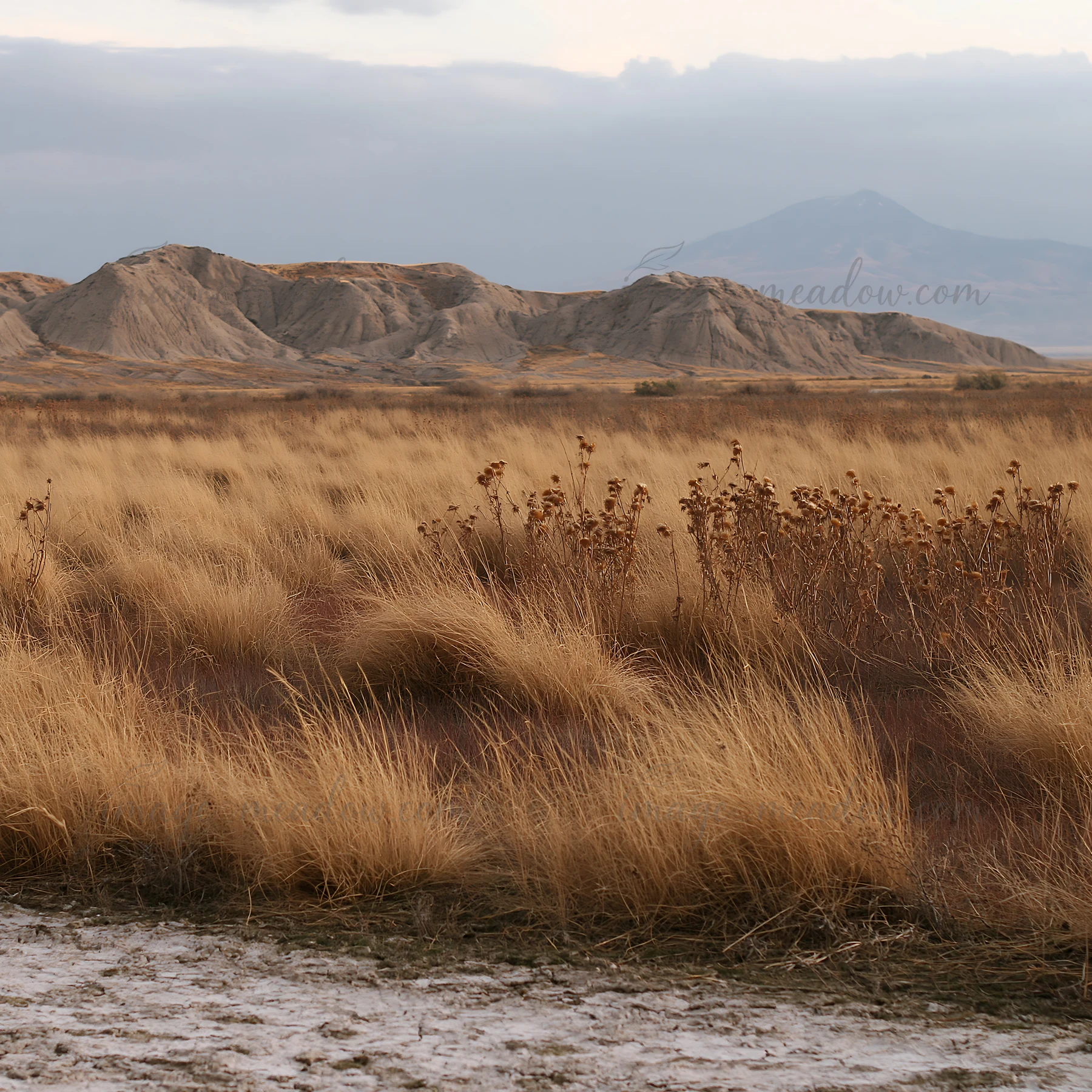 A meadow shows dry grasses under a cloudy sky. The landscape features brown and yellow hues with distant mountains in the background. The scene represents a dry
