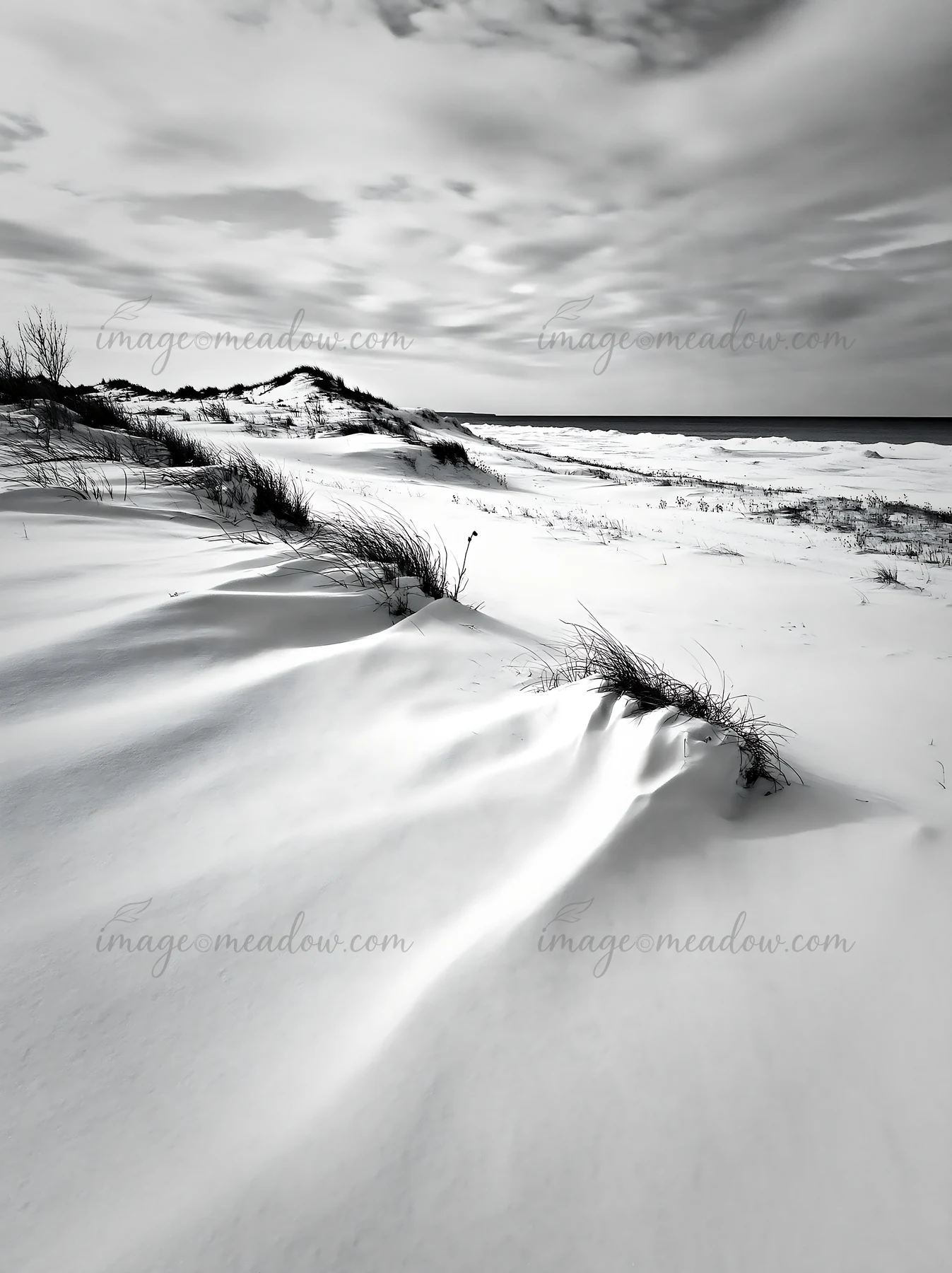 Dune meadow with snow spreads across the landscape along the coastline. Sparse grass appears through the white snow. Overcast sky adds a gray tone to the scene,
