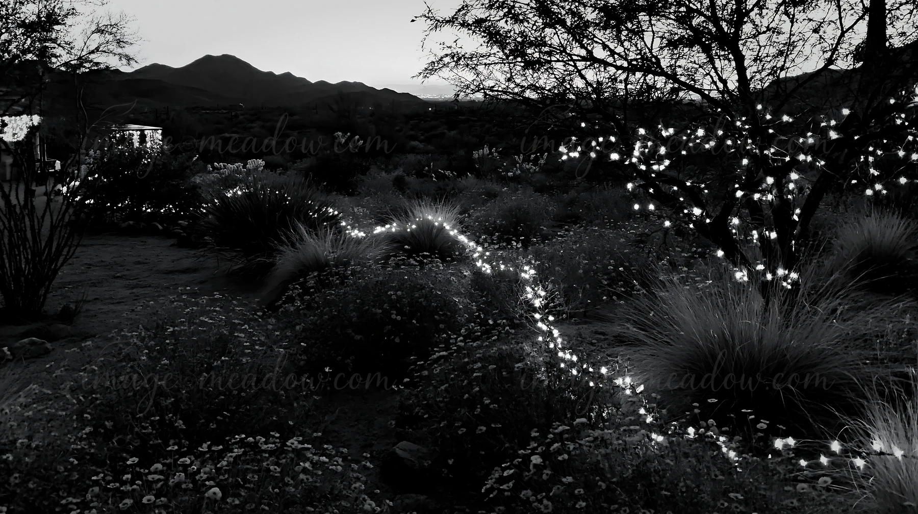 A meadow features drought tolerant plants and a garland of lights during the evening. The scene shows a winding path illuminated by lights, set against mountain
