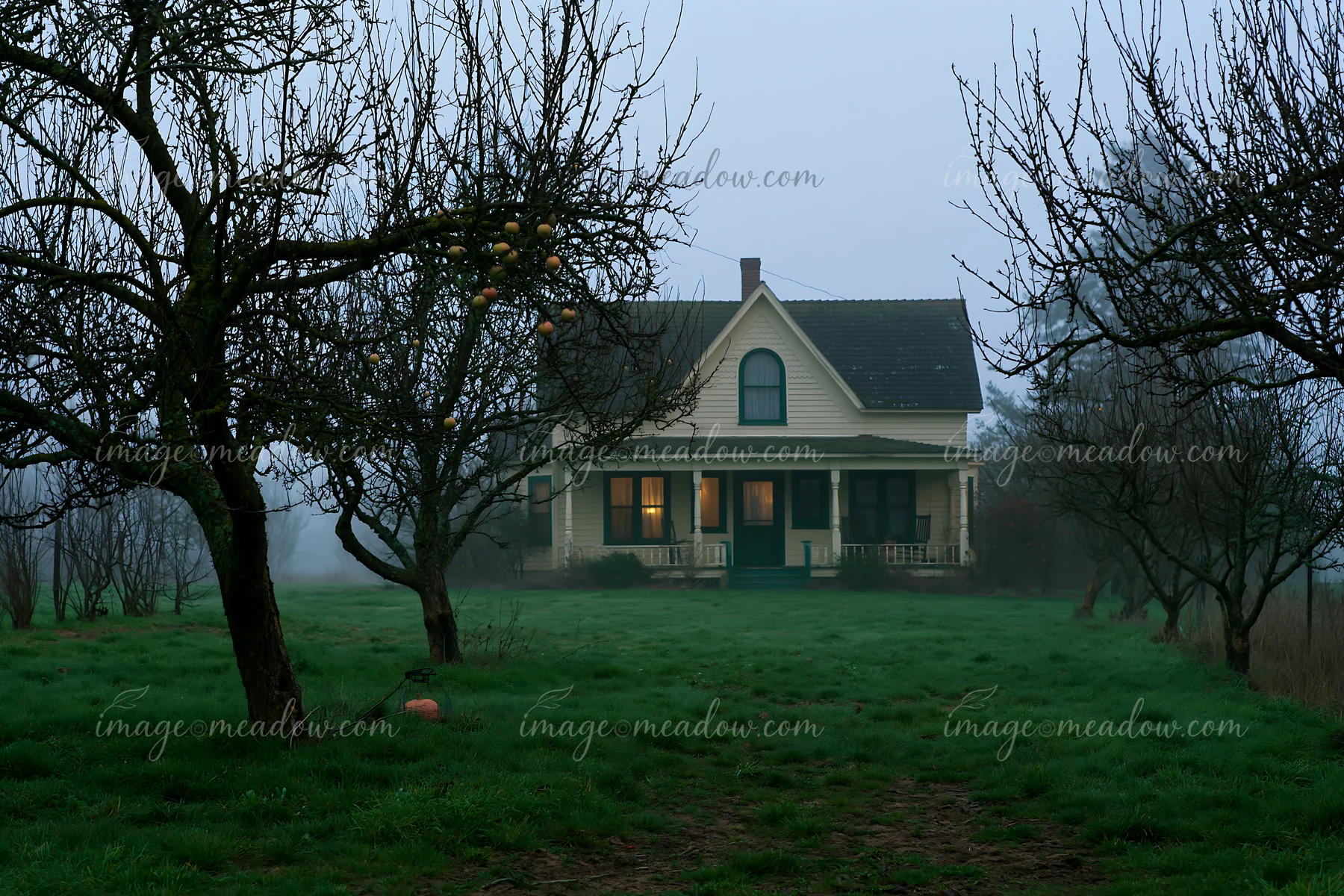 Farmhouse with warm porch lights stands among apple trees and wet grass in morning fog.