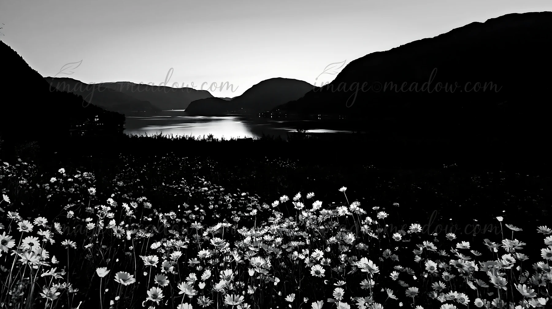 A field of flowers fills the foreground, leading to a fjord bordered by dark mountains during dusk. The soft light reflects on the water, creating a tranquil se