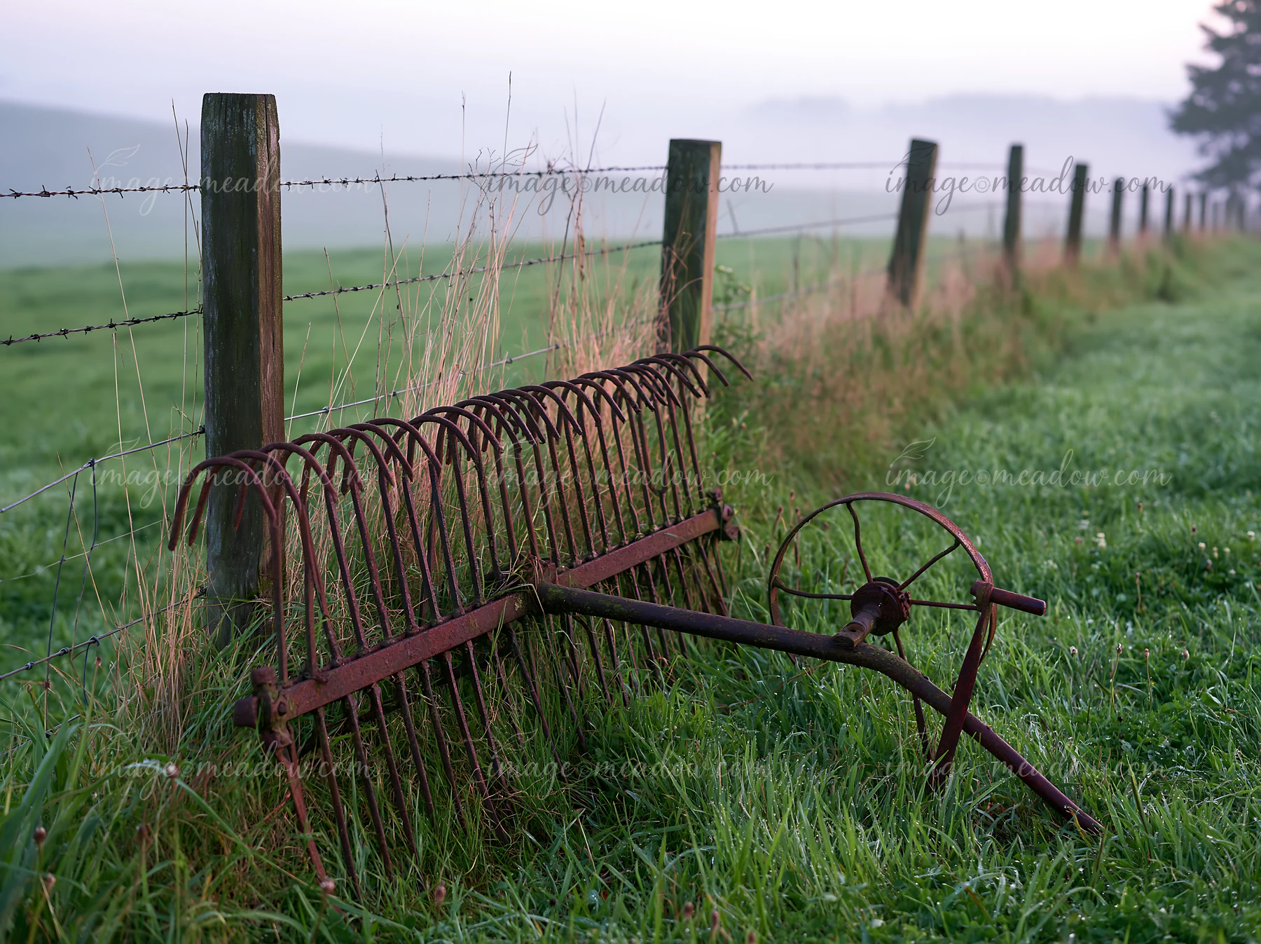 Fog drifting across meadow reveals a rusty rake lying on the grass next to a wooden fence.