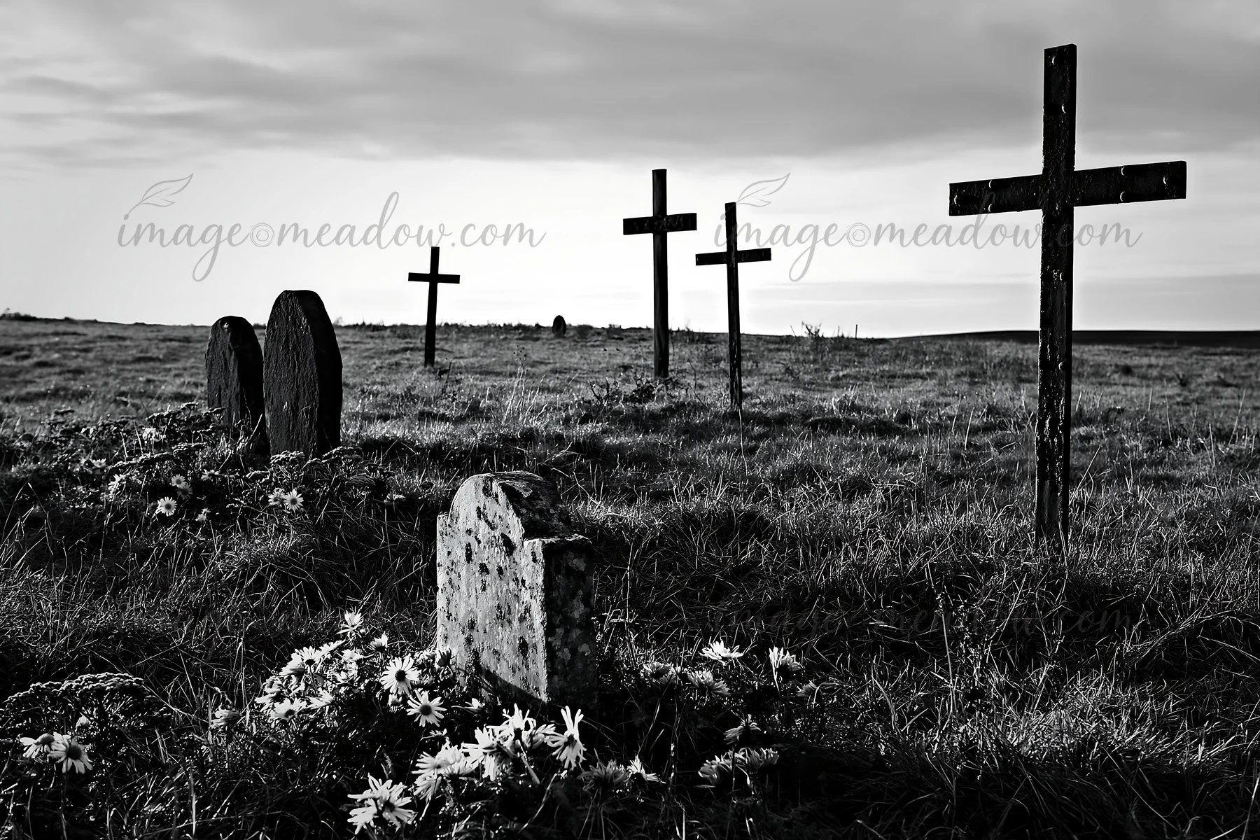 Four Christian crosses stand in a quiet winter meadow. The ground is covered with grass and scattered flowers. The sky is cloudy, creating a somber atmosphere.