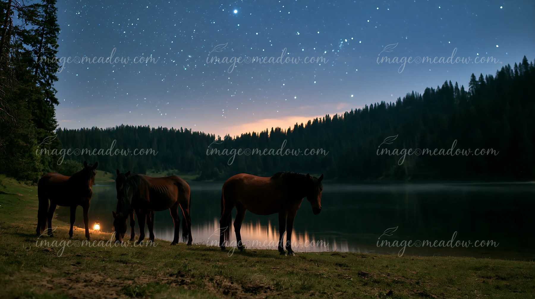 Four horses stand near a lake as stars fill the night sky.
