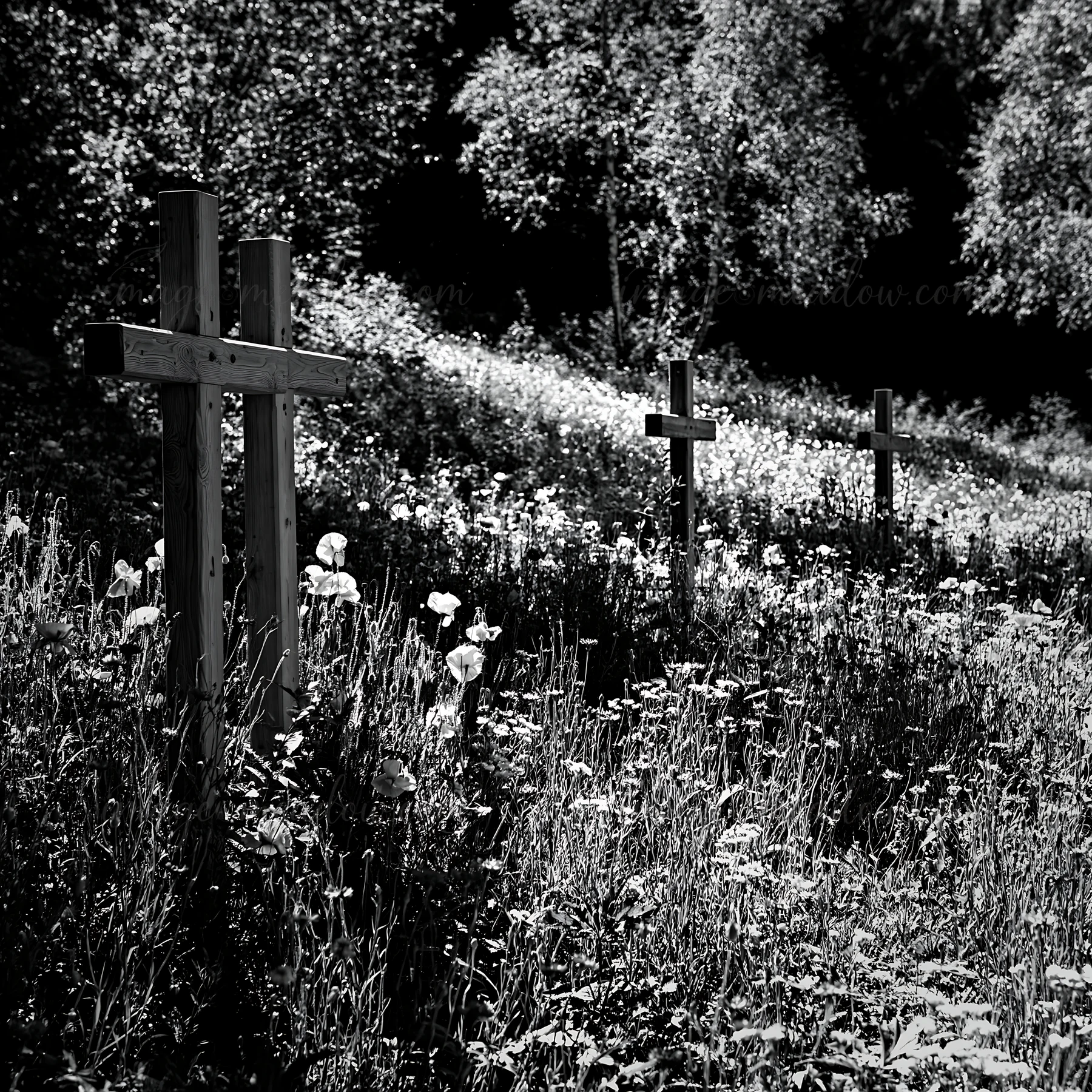 Four wooden crosses stand in a meadow filled with flowers. The scene is set during the Christmas season, surrounded by greenery and trees. The sunlight casts sh
