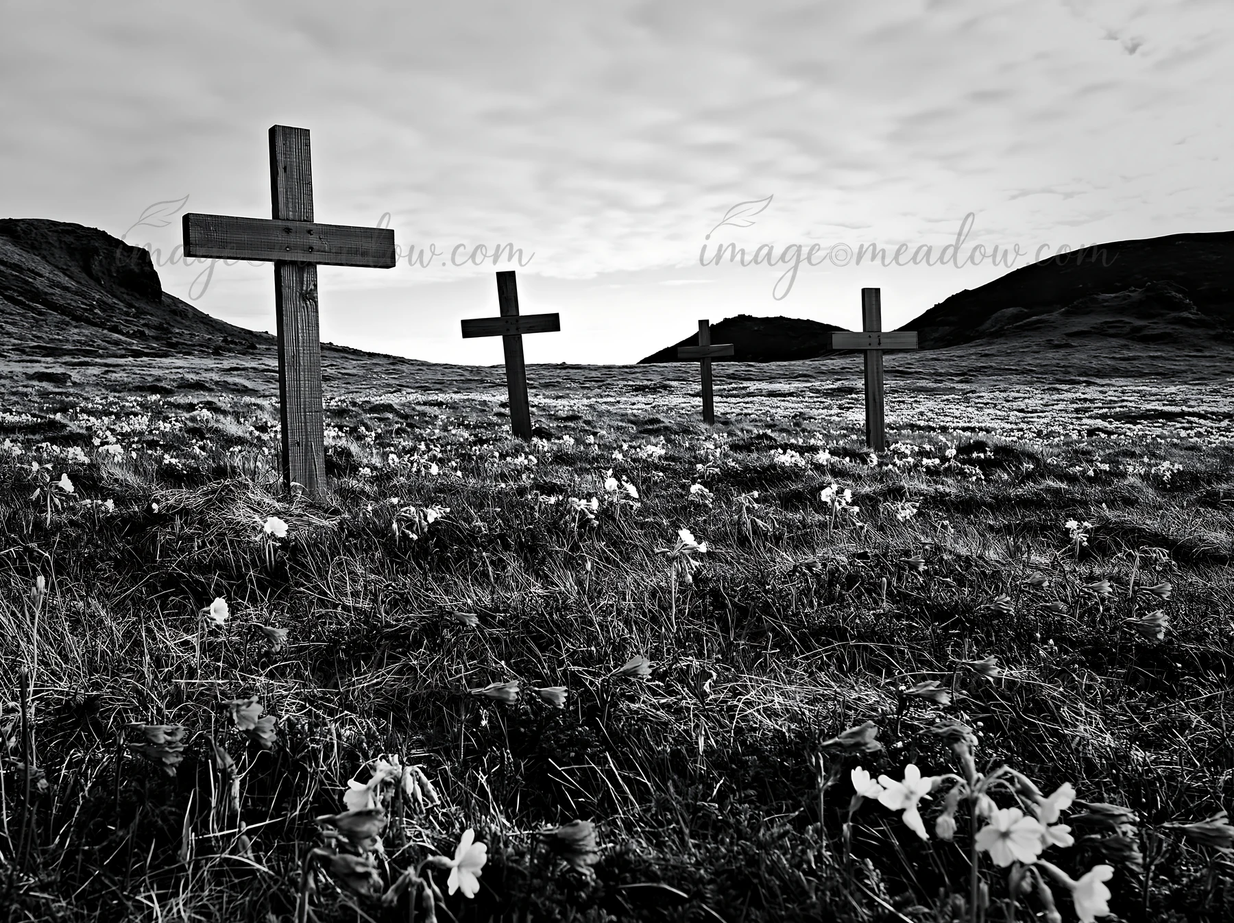 Four wooden crosses stand in a meadow during Christmas time. The foreground features green grass and small white flowers. A cloudy sky looms above the landscape