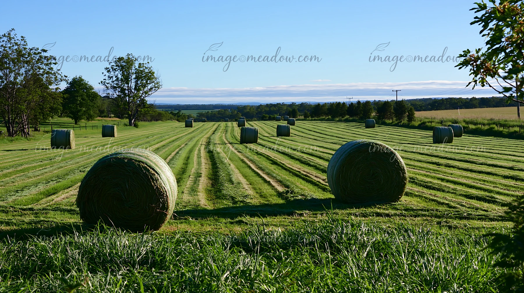 Freshly cut meadow rows show bales of hay in a rural setting.