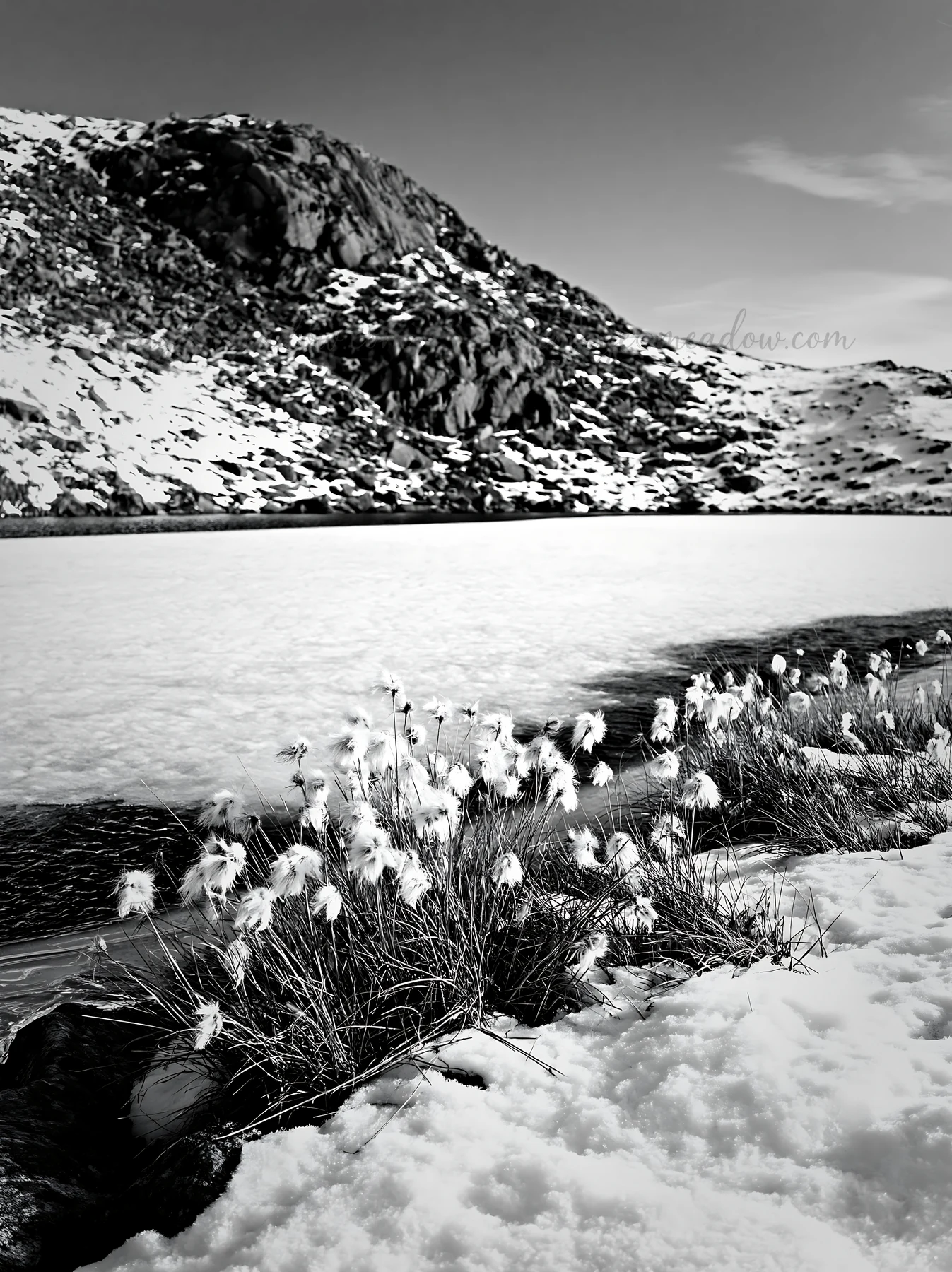 A frozen tarn meadow sits under a clear sky with snow-covered rocks surrounding it. Grass peeks through the snow along the edge of the ice. Presented as a premi