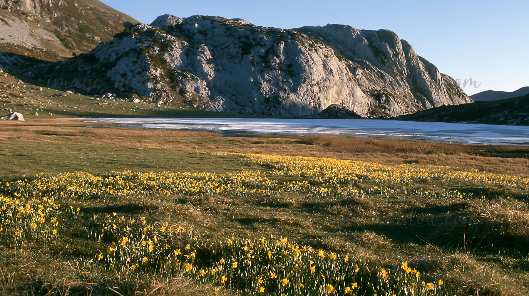 The scene shows a frozen tarn in a meadow with blooming yellow flowers. There are rocky mountains in the background and the sun is shining over the landscape du