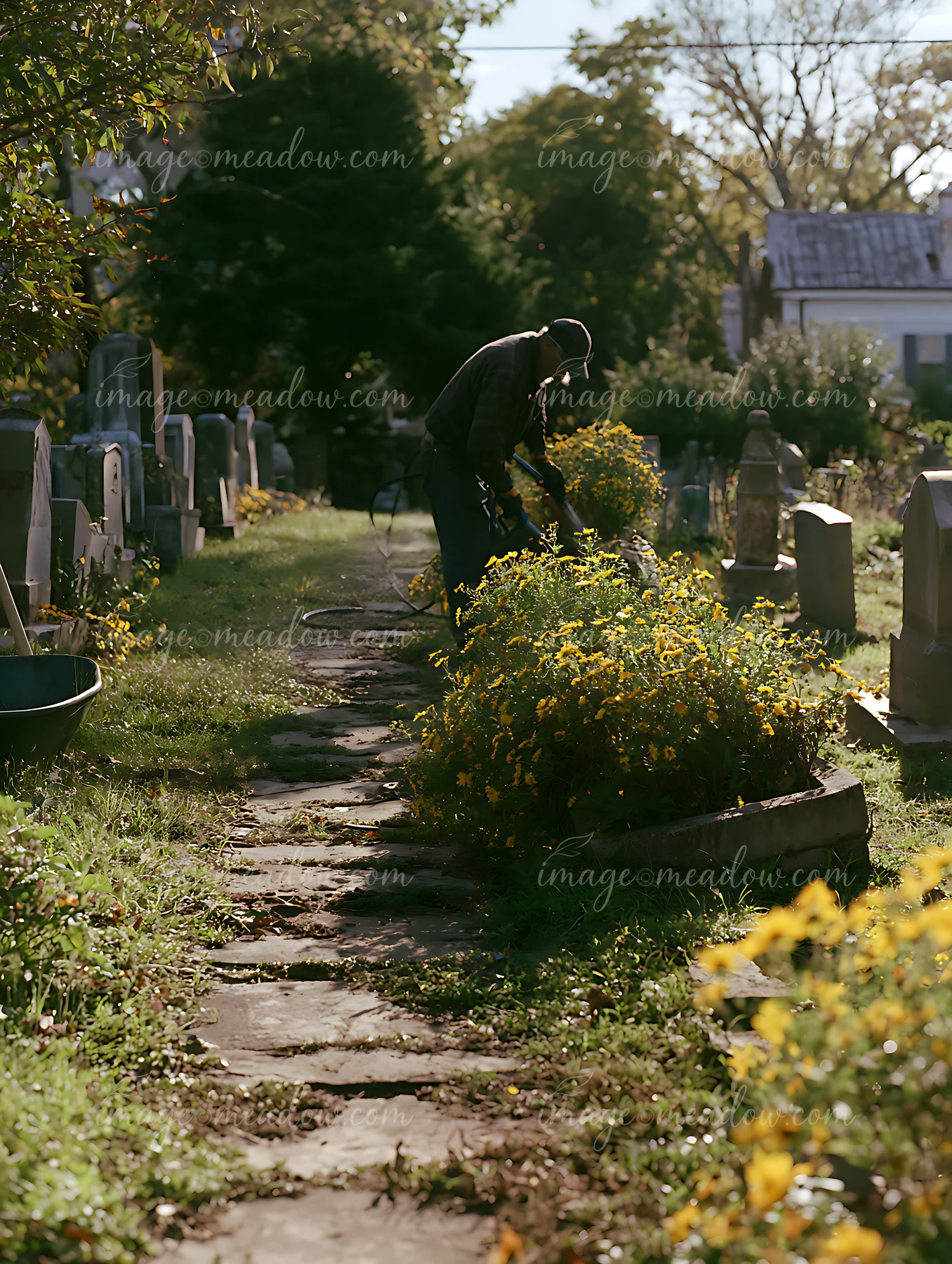 Gardener tending a grave with yellow flowers among tombstones and greenery in warm sunlight.