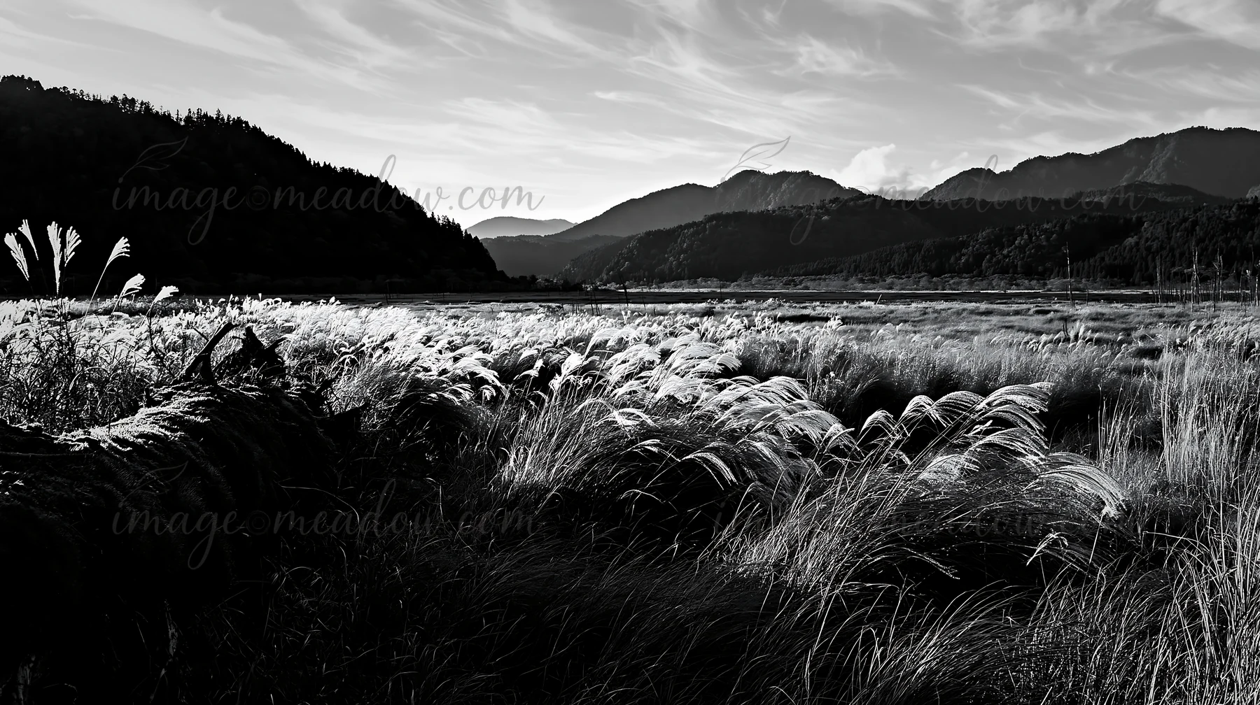 A mossy log lays in a meadow, surrounded by tall grass. The landscape features distant mountains and open fields under a bright sky. Presented as a premium high