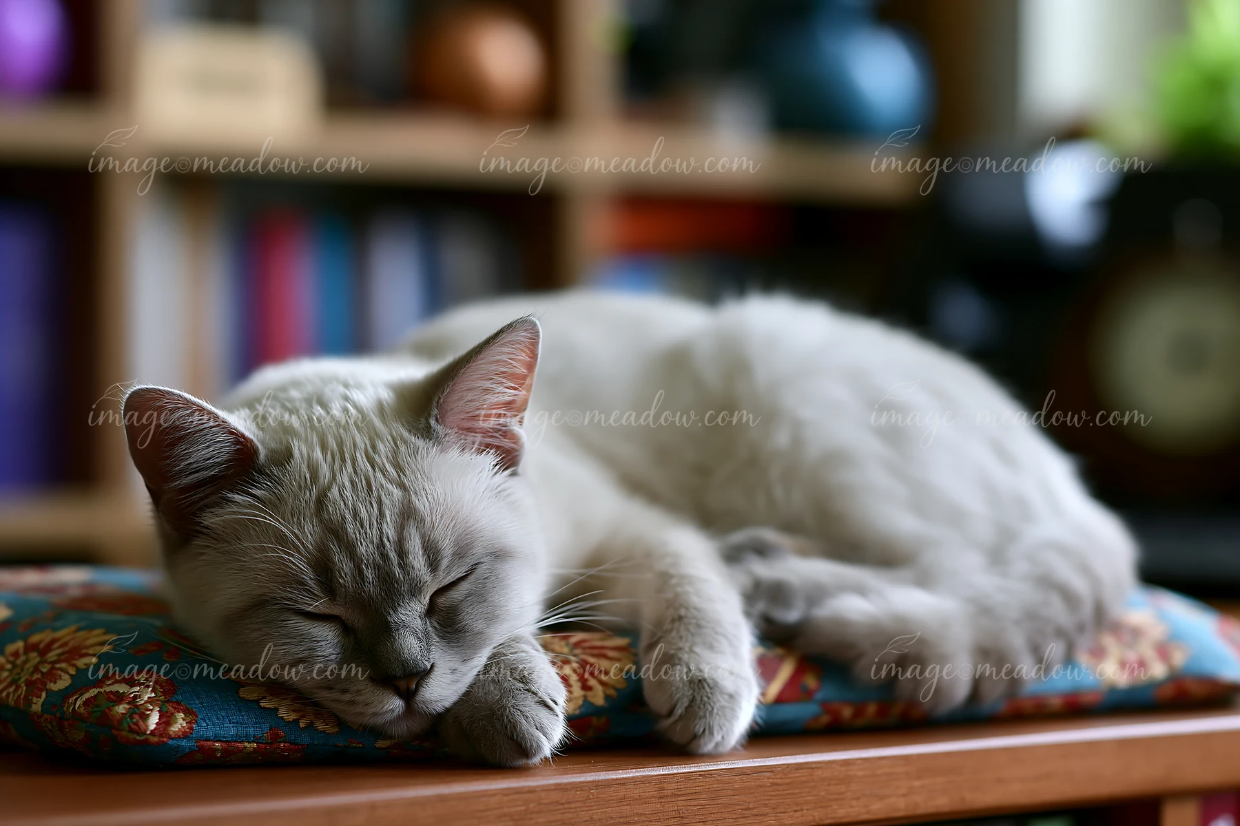 Gray cat sleeping on a colorful patterned cushion atop wooden furniture in a softly blurred home interior.