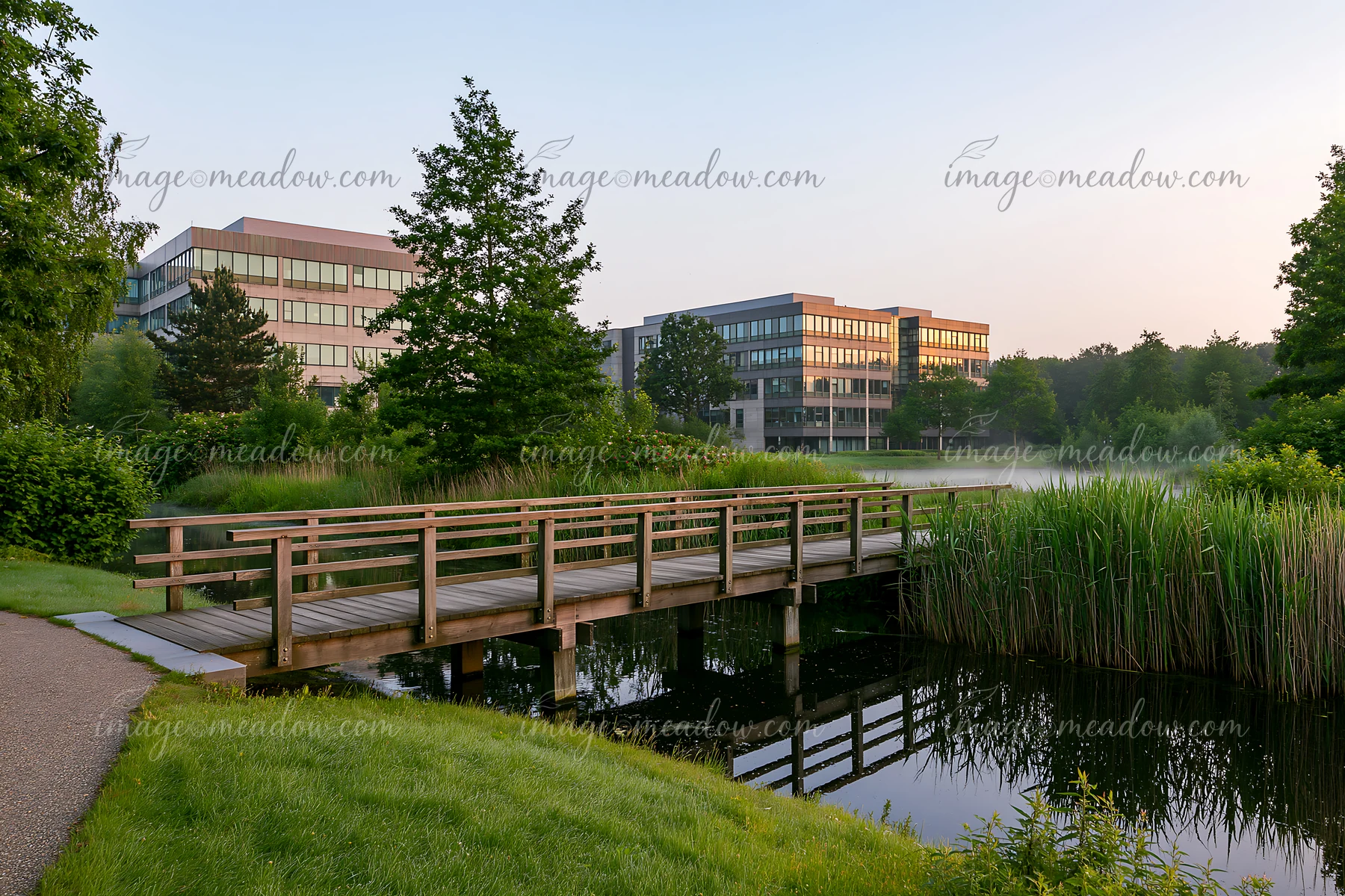Green grass surrounds a wooden bridge over calm water, reflecting nearby buildings in an urban setting.
