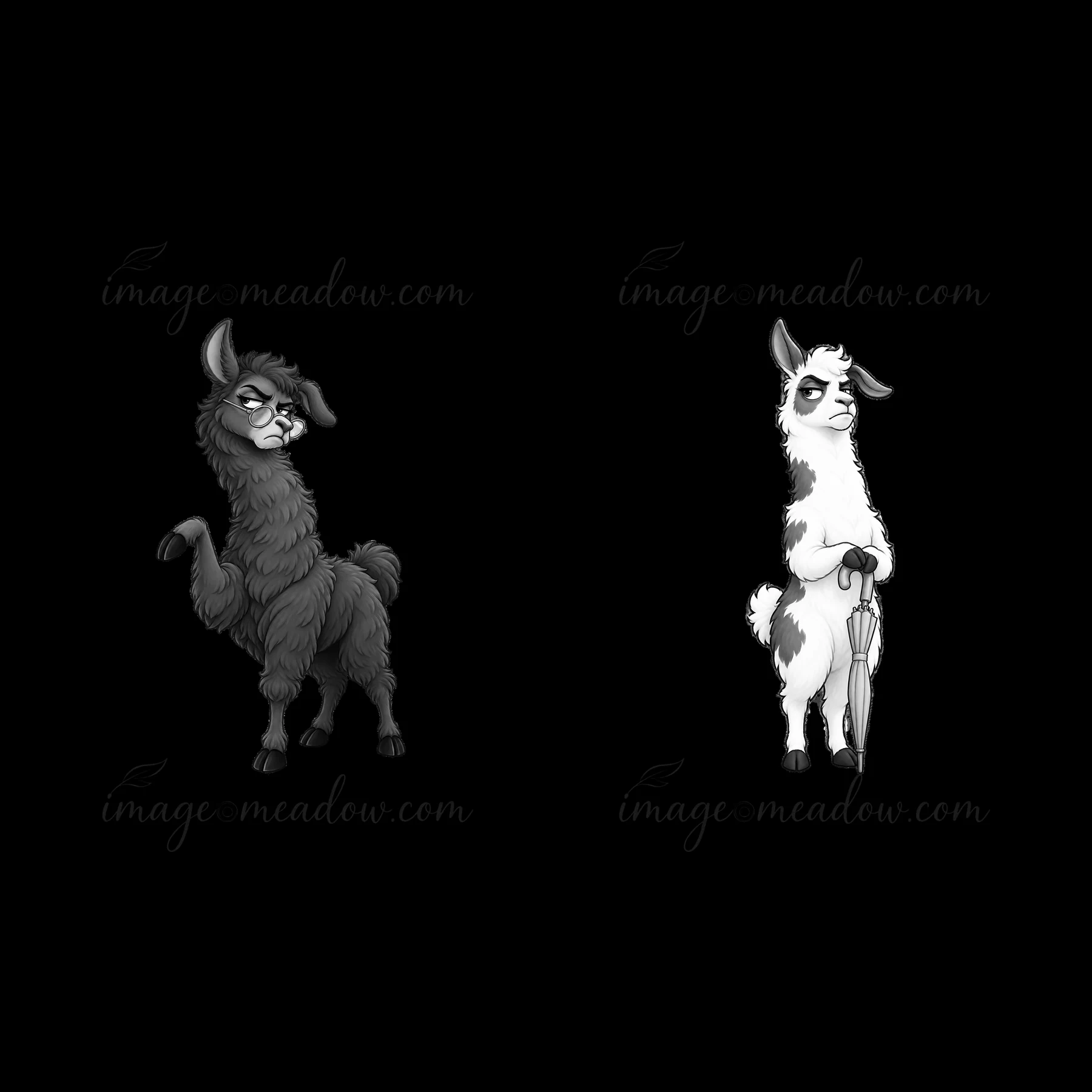 Two cartoony llama characters stand side by side. One has a dark color and a raised leg, while the other is lighter with an umbrella. Both express grumpiness in