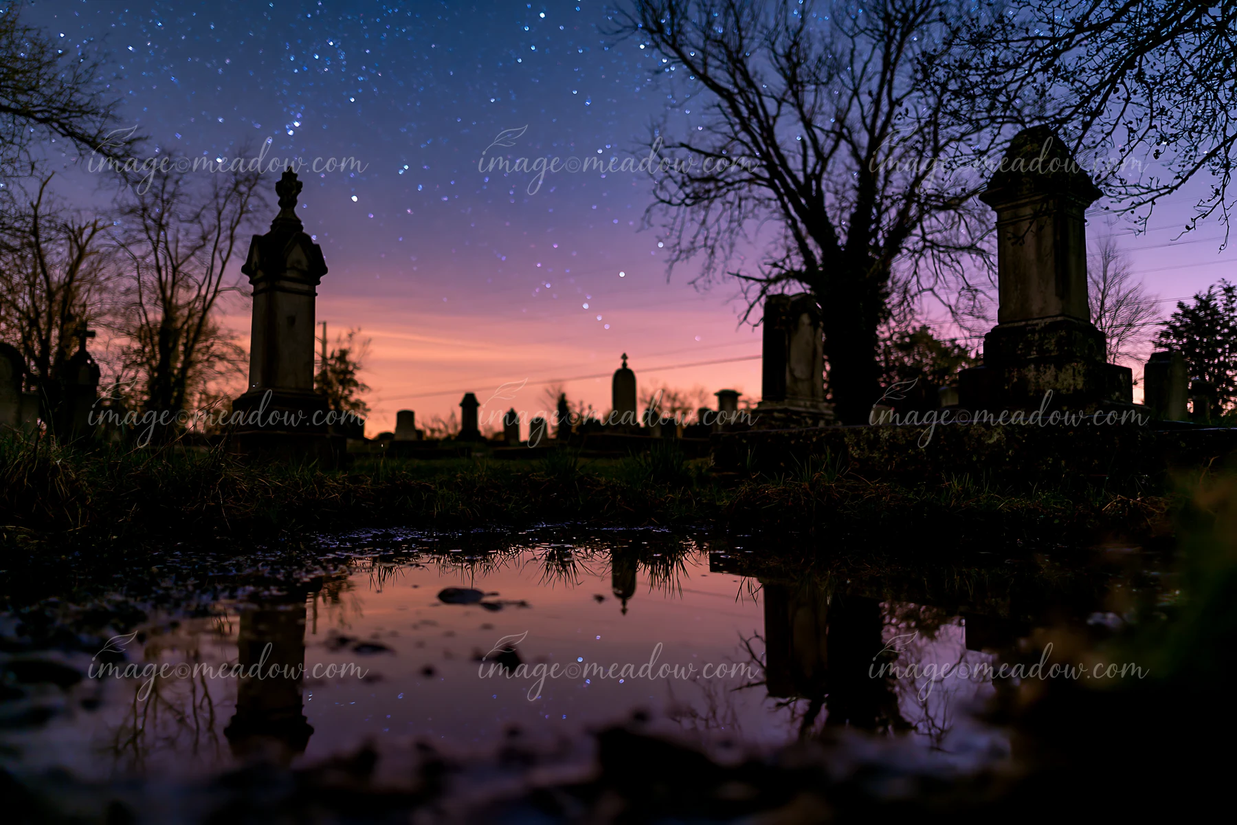 Headstones silhouetted against a starry sky create a stark outline in a graveyard.