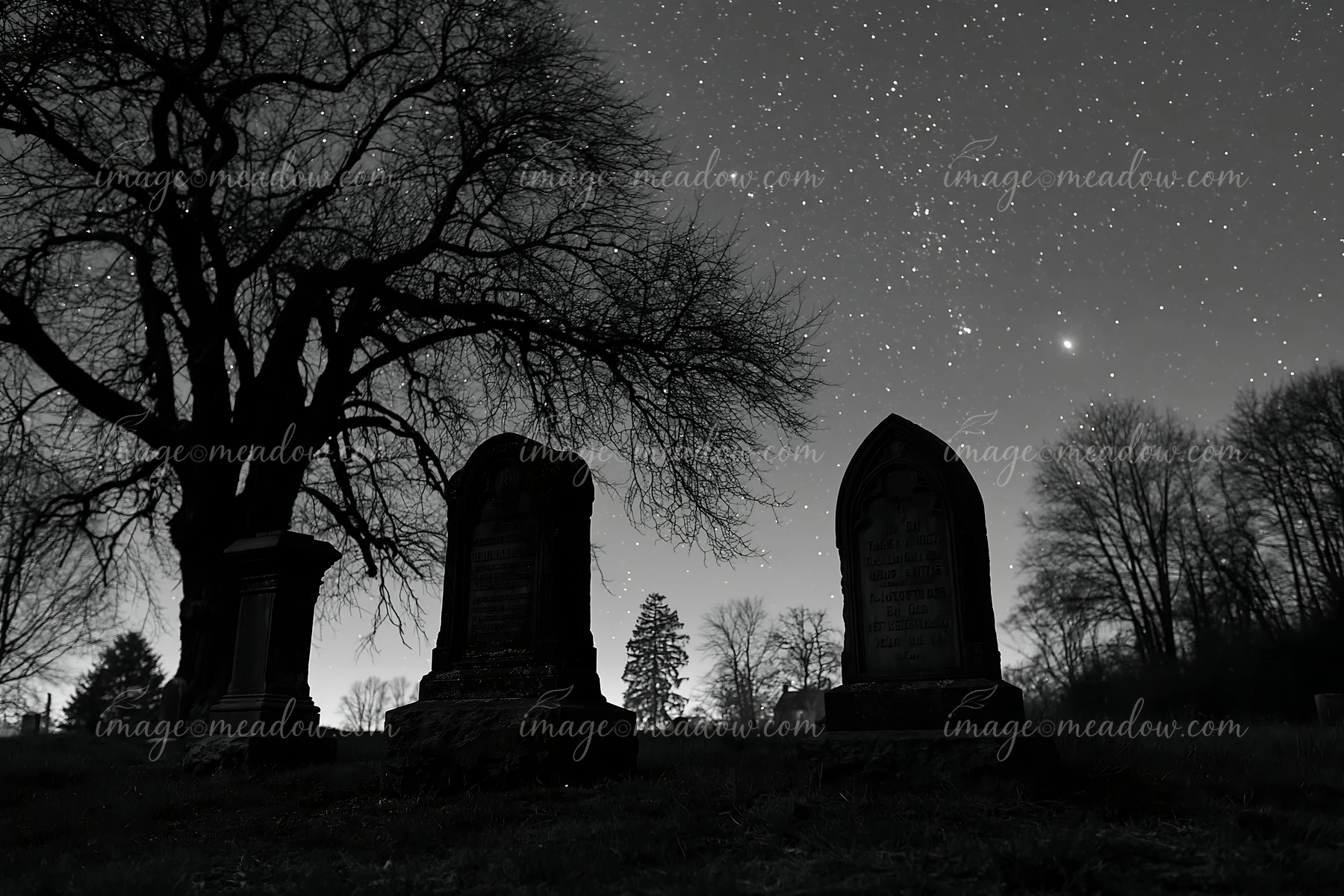 Headstones silhouetted against a starry sky provide a haunting view of the cemetery.