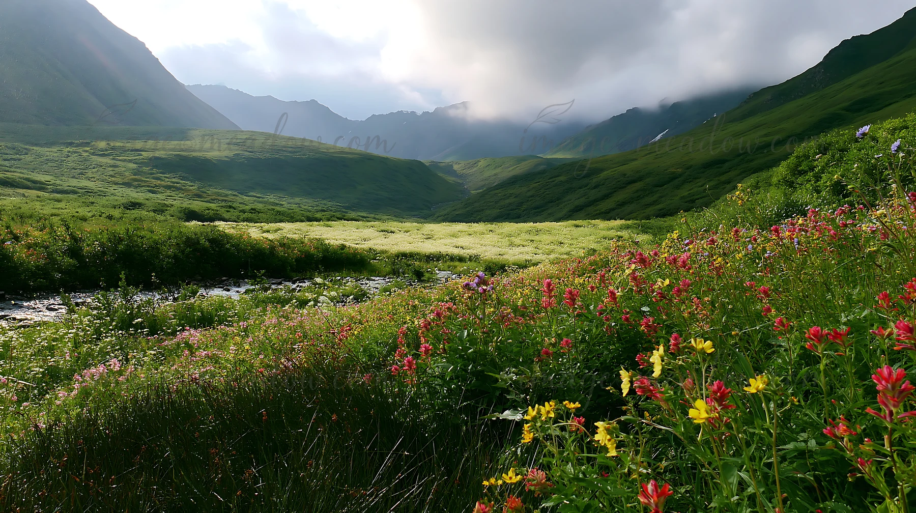 A brook flows through a meadow filled with colorful wildflowers. Green hills rise in the background with clouds gathered above the mountain peaks. The scene cap