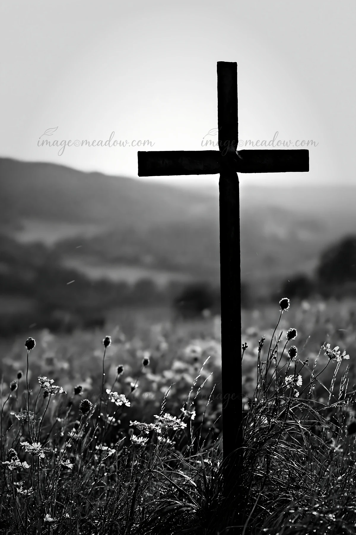 A Christian cross stands prominently in a valley meadow. The field is filled with flowers, and rolling hills are visible in the background. The scene captures t