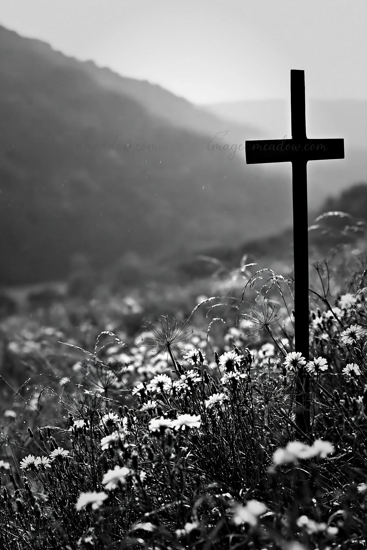 A black cross stands on a hillside, with a view of a valley filled with grass and flowers. The background shows mountains under a soft light. The setting captur