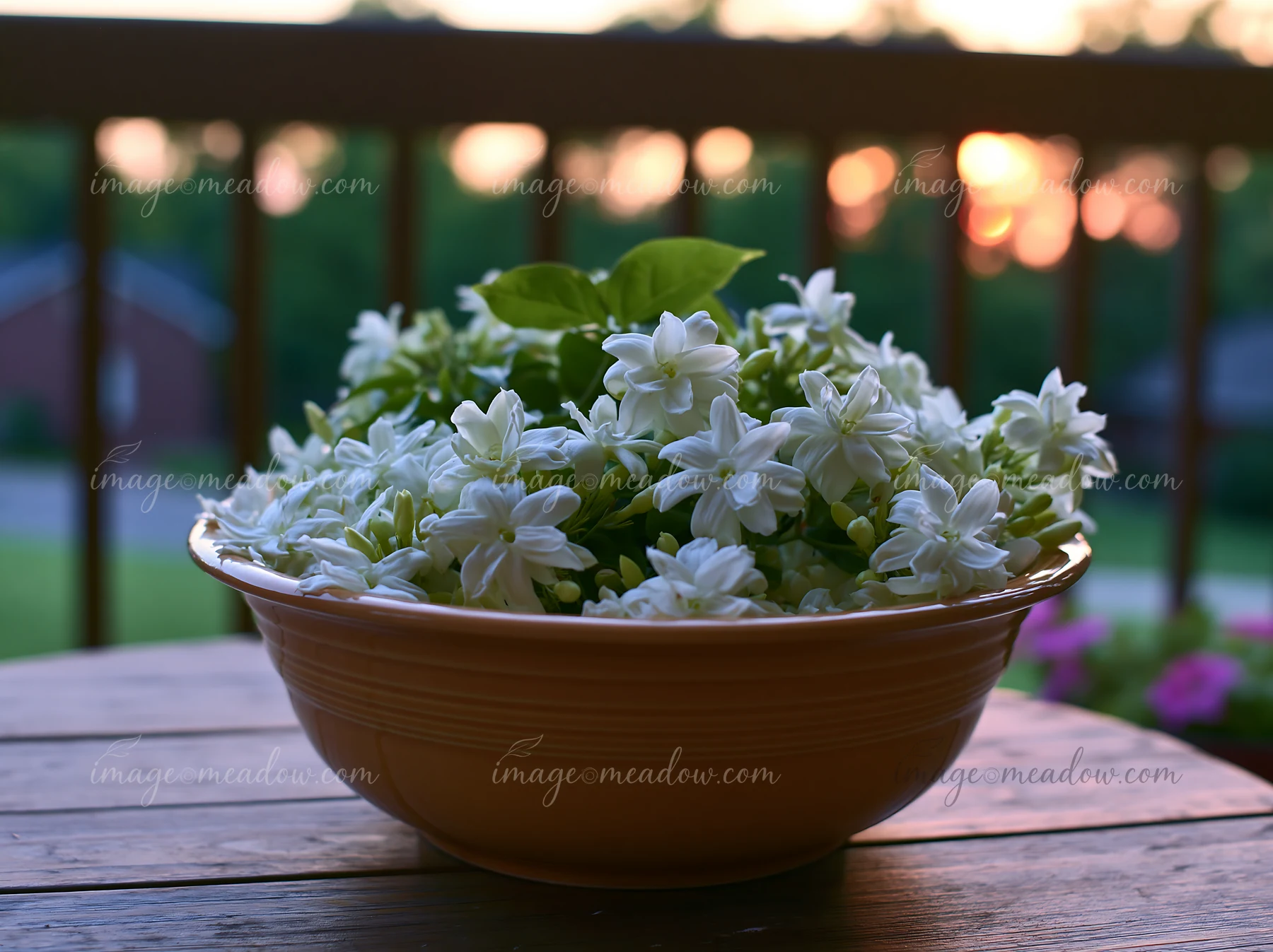 Jasmine flowers at dusk sit in a bowl on a wooden table with a soft glow from the setting sun.
