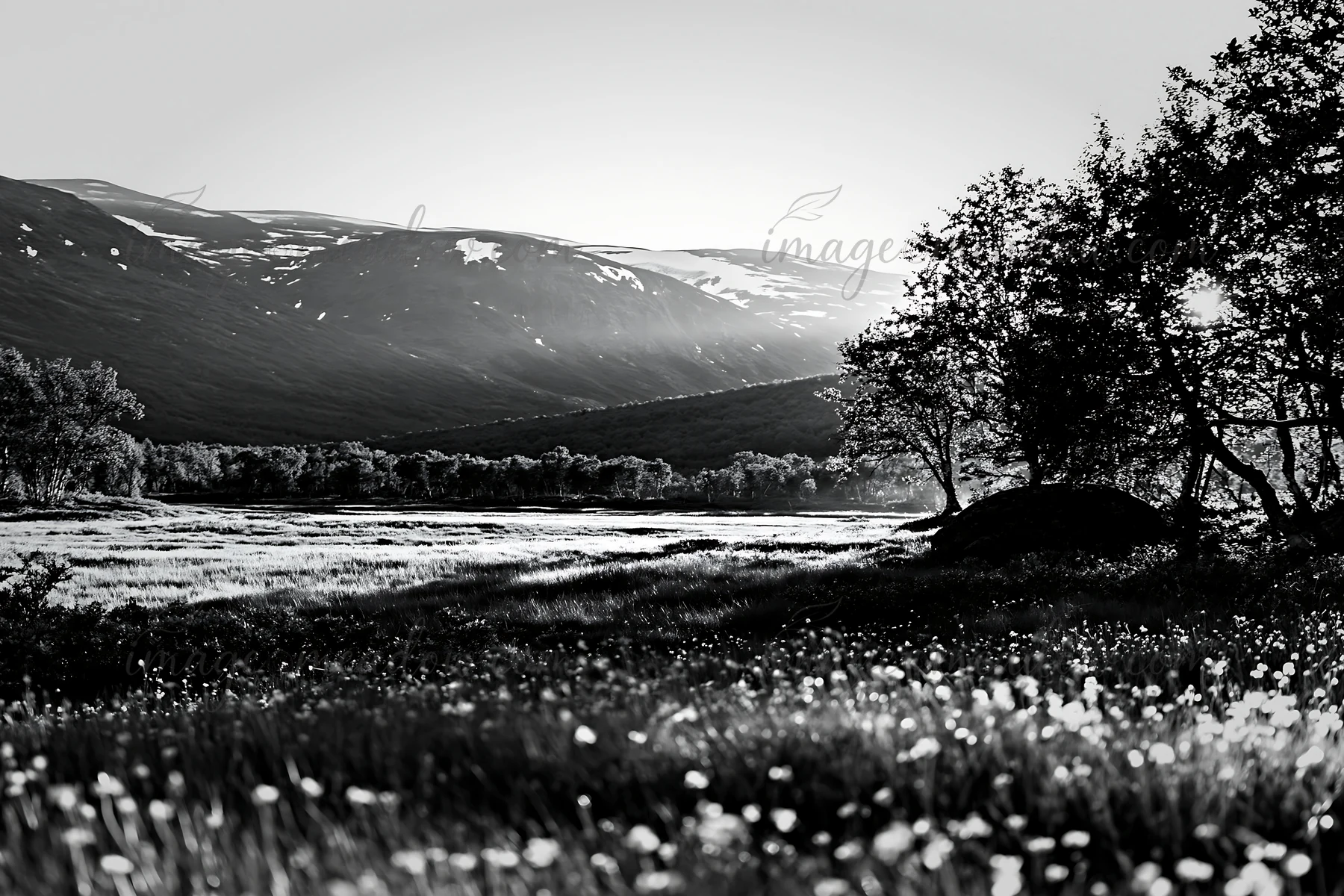 Sunlight breaks through in the Jotunheimen valley, highlighting the meadow. Trees stand in the foreground while mountains loom in the background. This scene cap