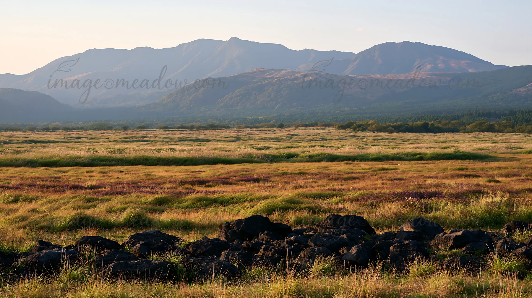 A volcanic meadow in Kumamoto features dark rocks in the foreground with mountains in the background. The scene captures the natural landscape during daylight.