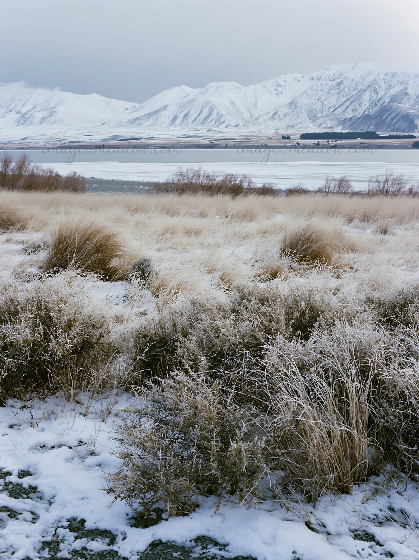 A snowy meadow with dry grass leads to a frozen lake under the snowy alps. The landscape features a range of mountains in the background, typical of Lake Tekapo