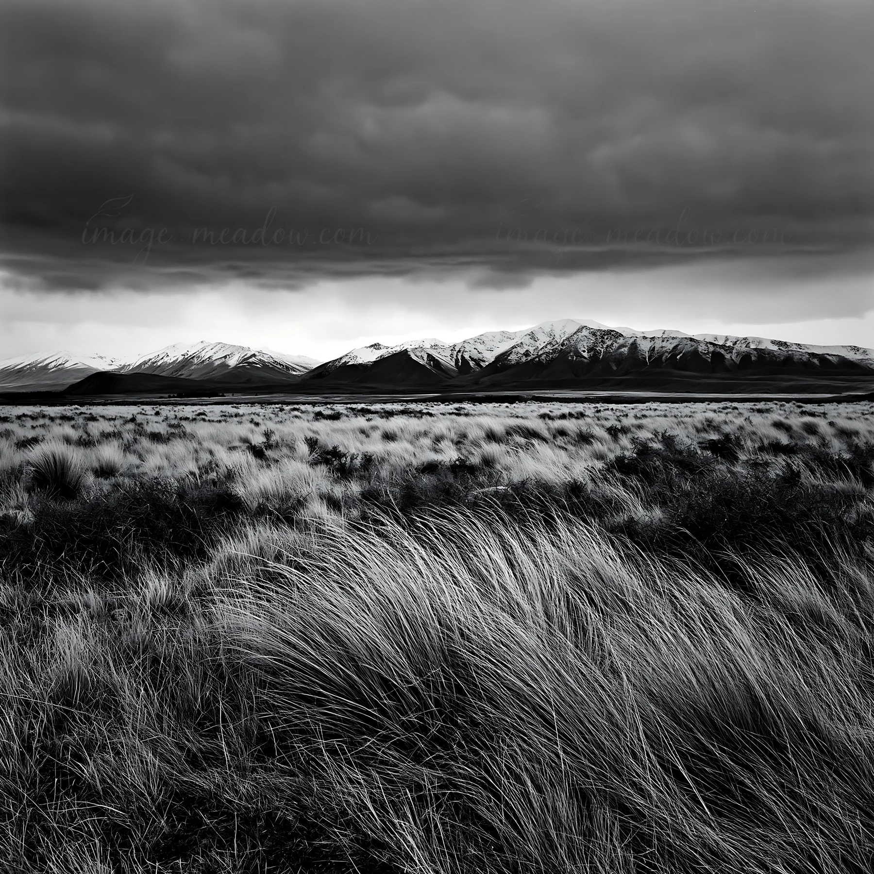A meadow stretches in the foreground with tall grass, while a range of snowy alps rises in the background. The sky is filled with dark clouds, creating a dramat
