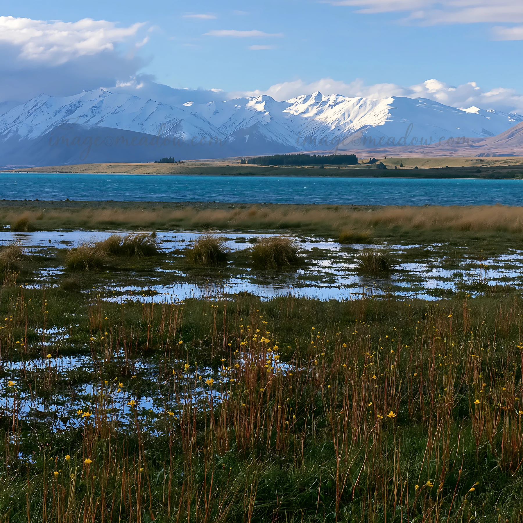 A meadow with grass and wetland areas, with snowy mountain peaks in the background. Lake Tekapo reflects bright blue water under a cloudy sky. The alps are visi
