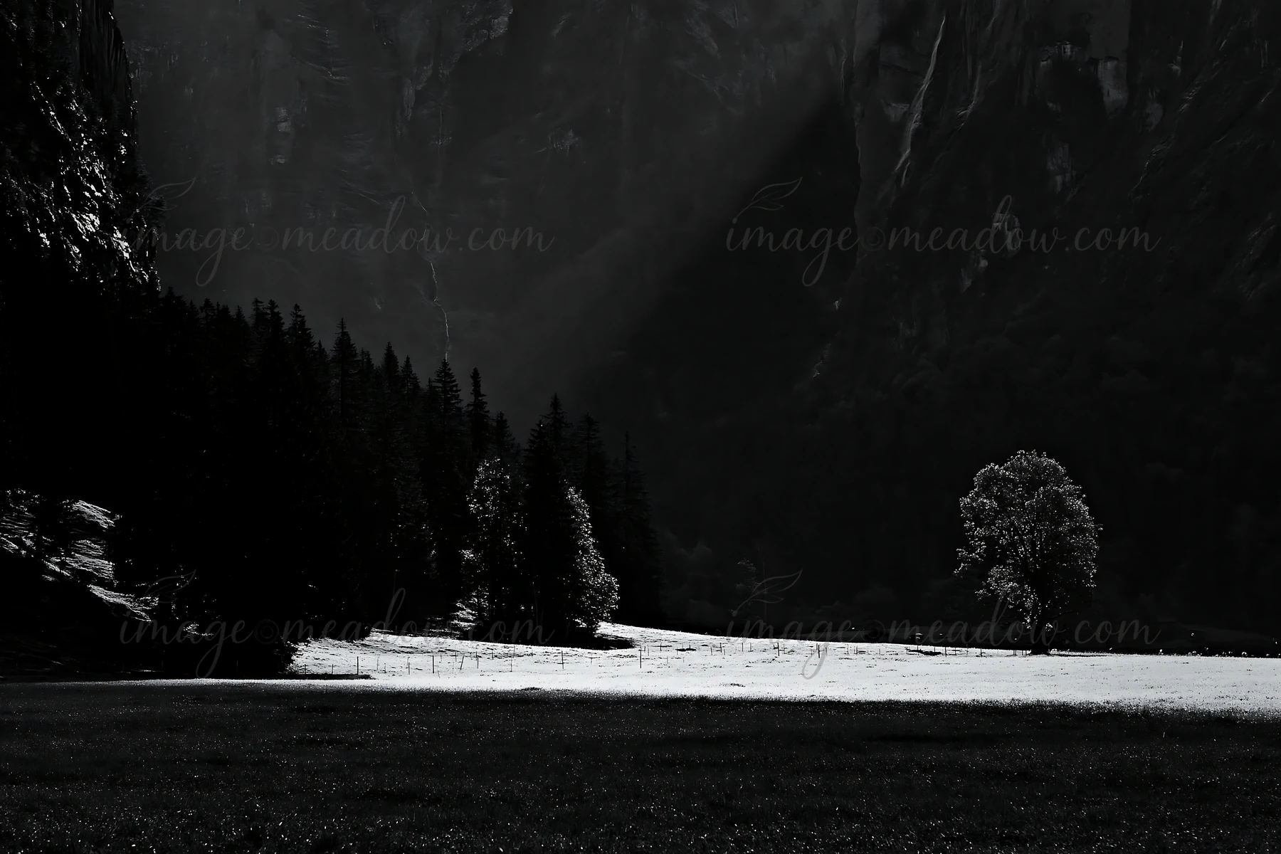 Light rays shine over a meadow in Lauterbrunnen Valley, Switzerland. Dark trees outline the field, adding contrast to the landscape. The scene captures nature i